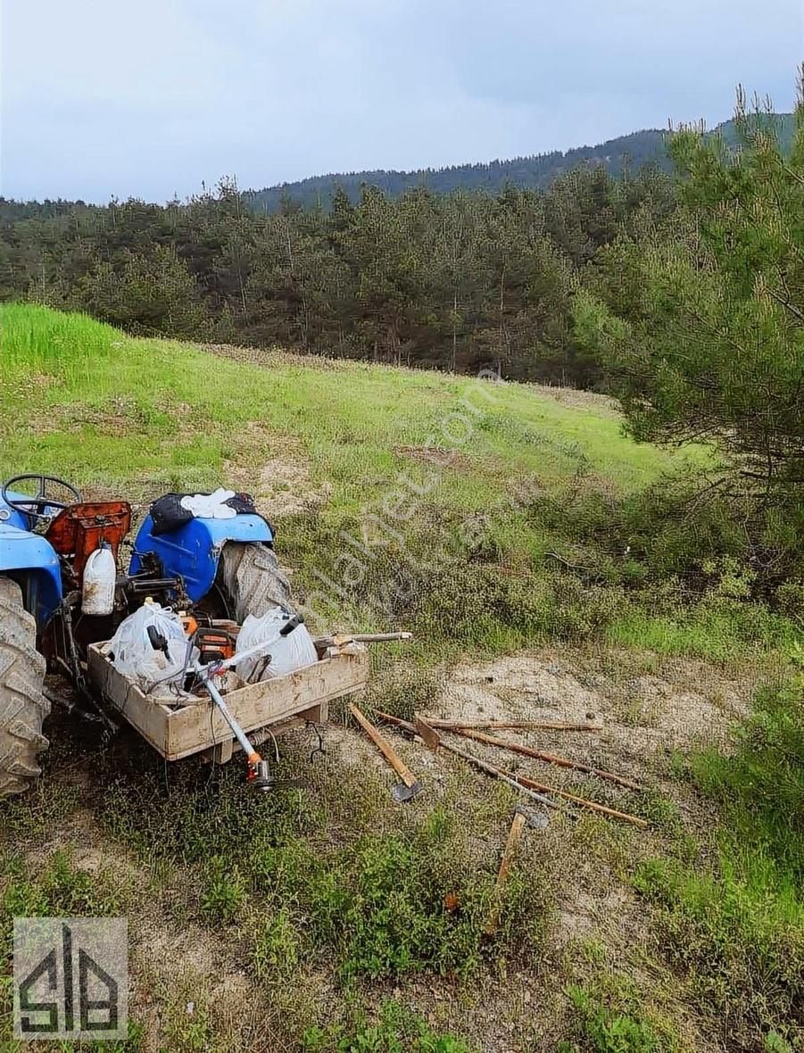 Geyve Çamlık Satılık Tarla BÜYÜKDEMİR GAYRİMENKULDEN 2.552m2 FIRSAT ARAZİ