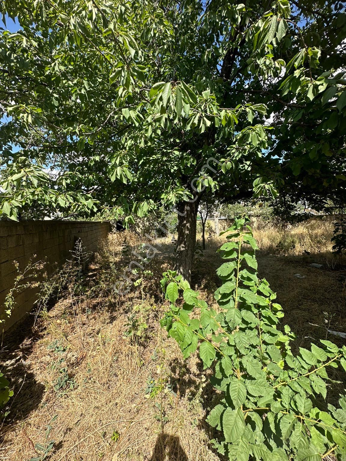 Dinç Emlaktan İstasyon Mahallesinde 3 Katlı Müstakil Ev - Görsel 5