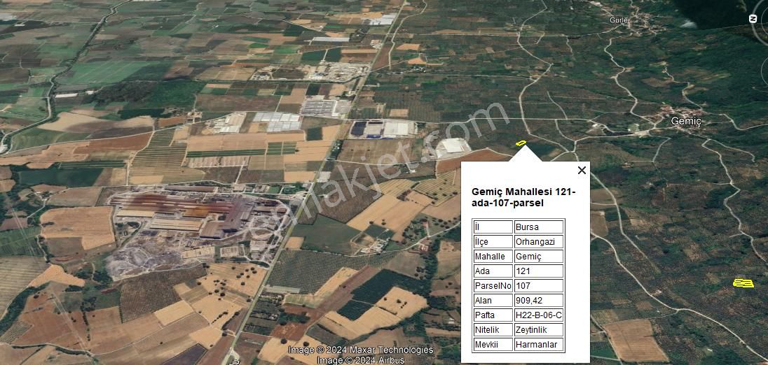 Orhangazi Gemiç Satılık Zeytinlik  Bursa Orhangazi Gemiç Mahallesinde Hobi Zeytincilik 