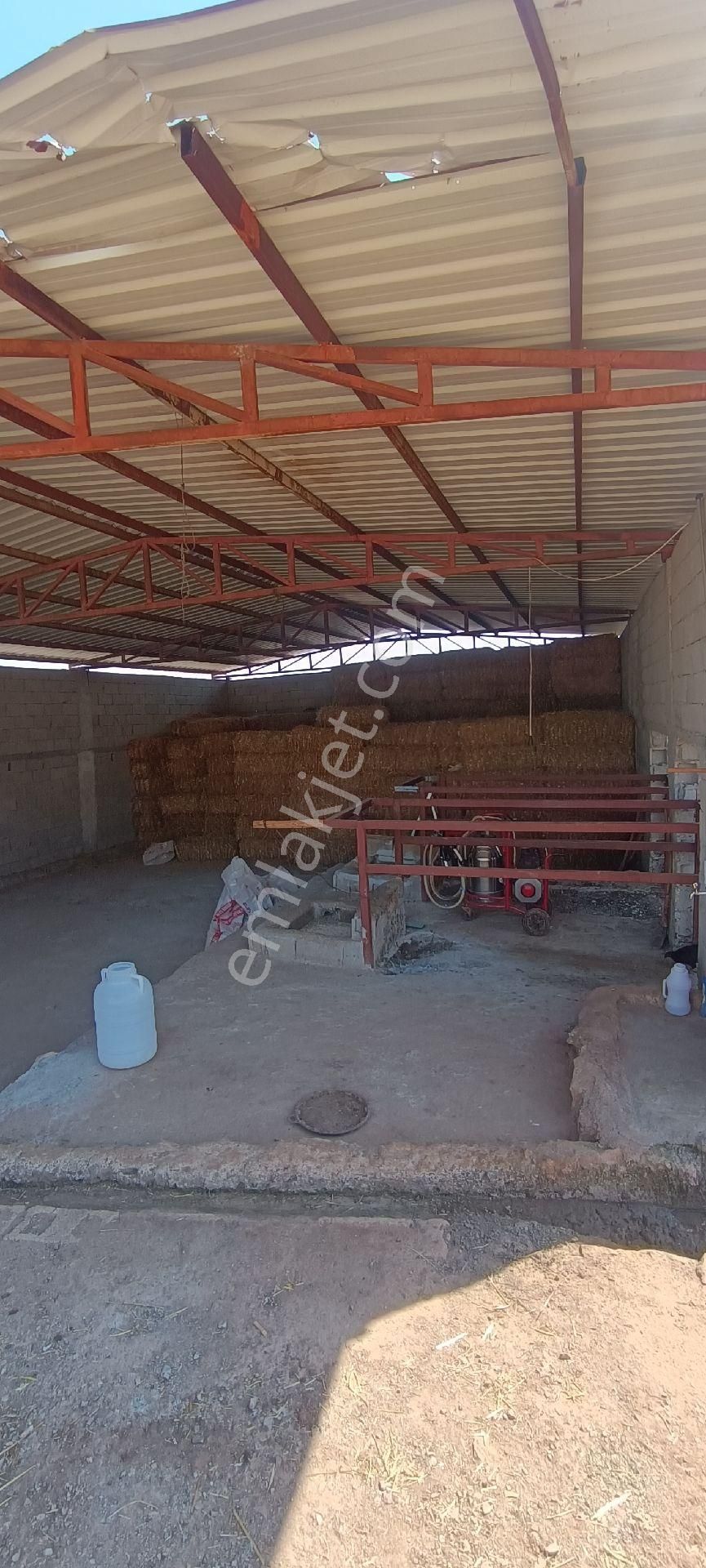 Bizim Emlak'tan Sağlık Köyünde Satılık Çiftlik Ve Köy Evi - Görsel 22