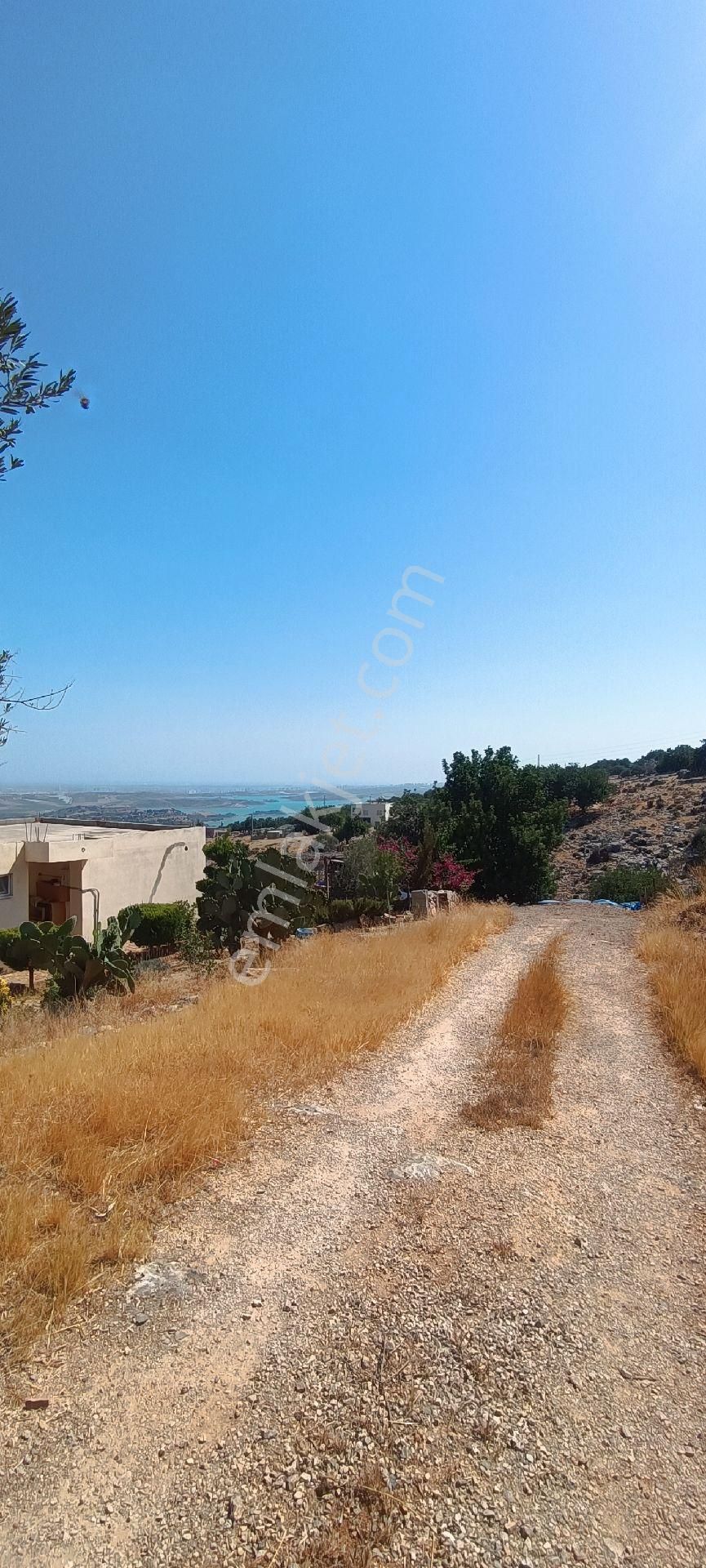 Bizim Emlak'tan Sağlık Köyünde Satılık Çiftlik Ve Köy Evi - Görsel 29