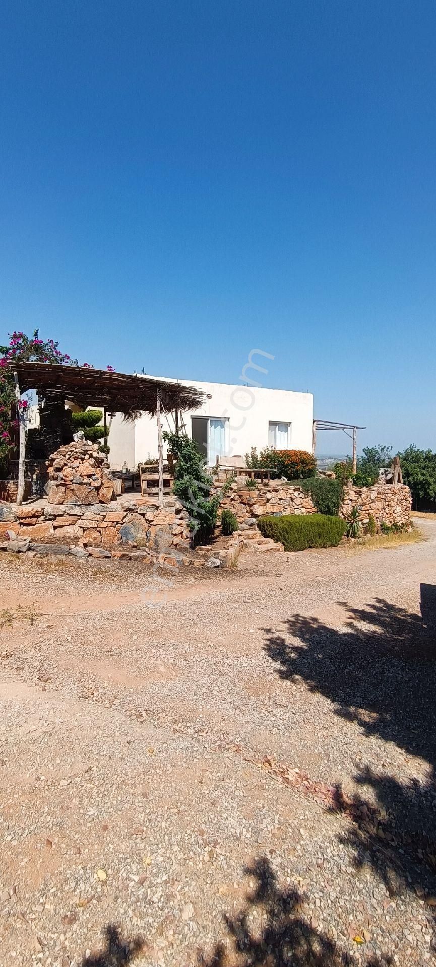 Bizim Emlak'tan Sağlık Köyünde Satılık Çiftlik Ve Köy Evi - Görsel 27