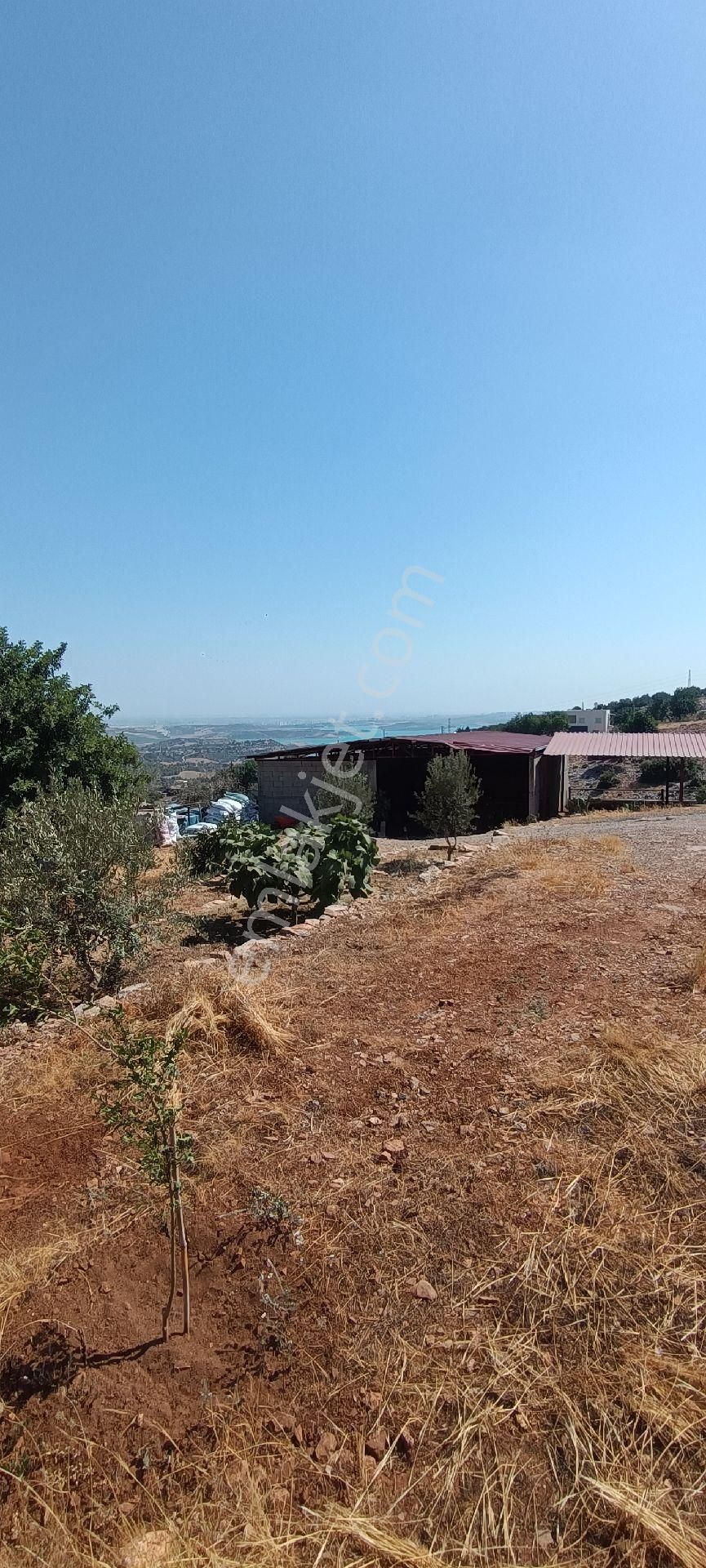 Bizim Emlak'tan Sağlık Köyünde Satılık Çiftlik Ve Köy Evi - Görsel 25