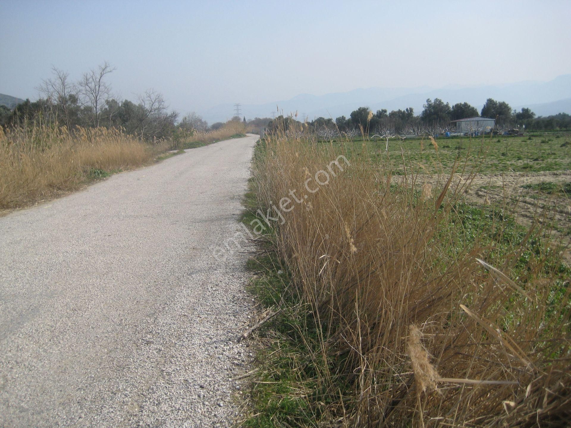 Menemen Tuzçullu Satılık Arazi Menemen Tuzçulu'da 27305 M2 Merkeze Yakın Satılık Verimli Arazi..