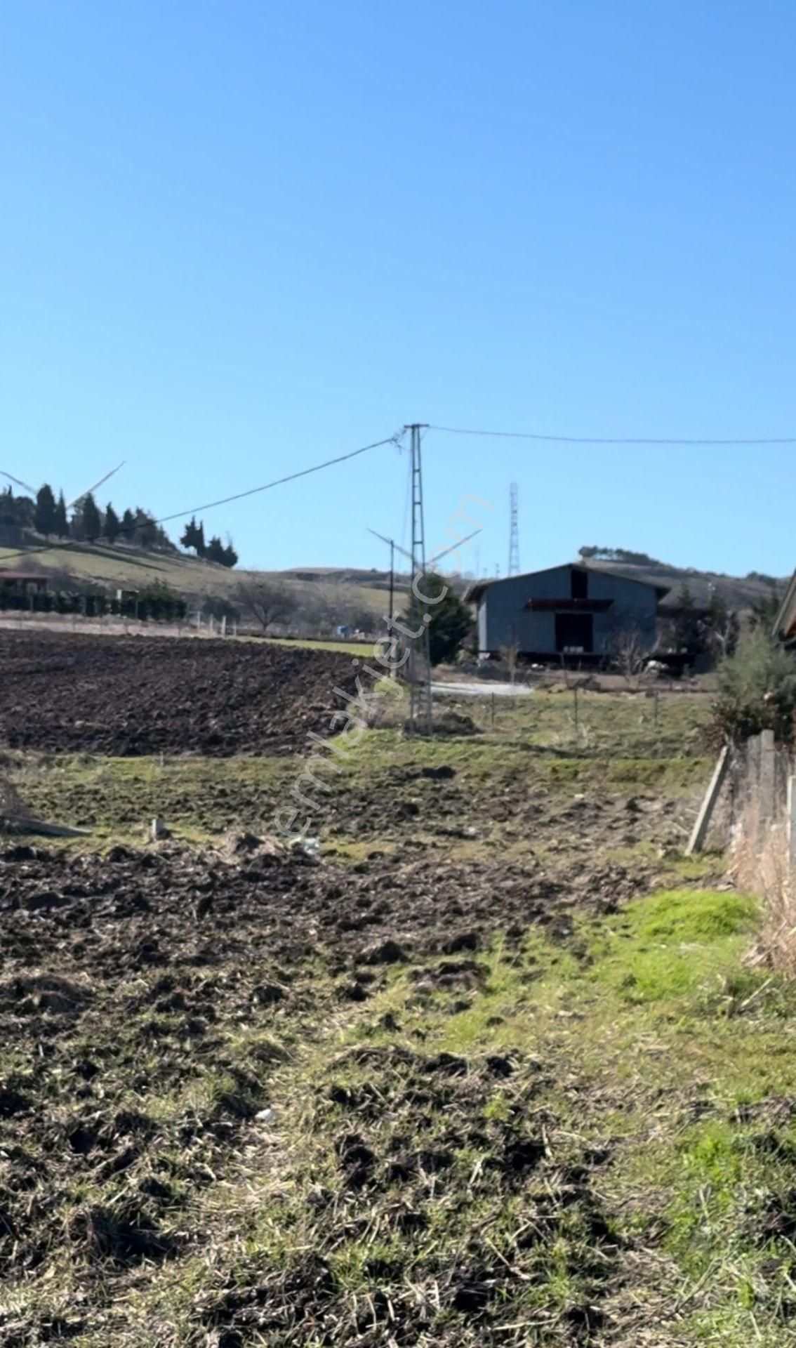 Silivri Çanta Balaban Satılık Tarla Silivri Balaban 225mt2 Az Hissedarlı Yerleşim Dibinde