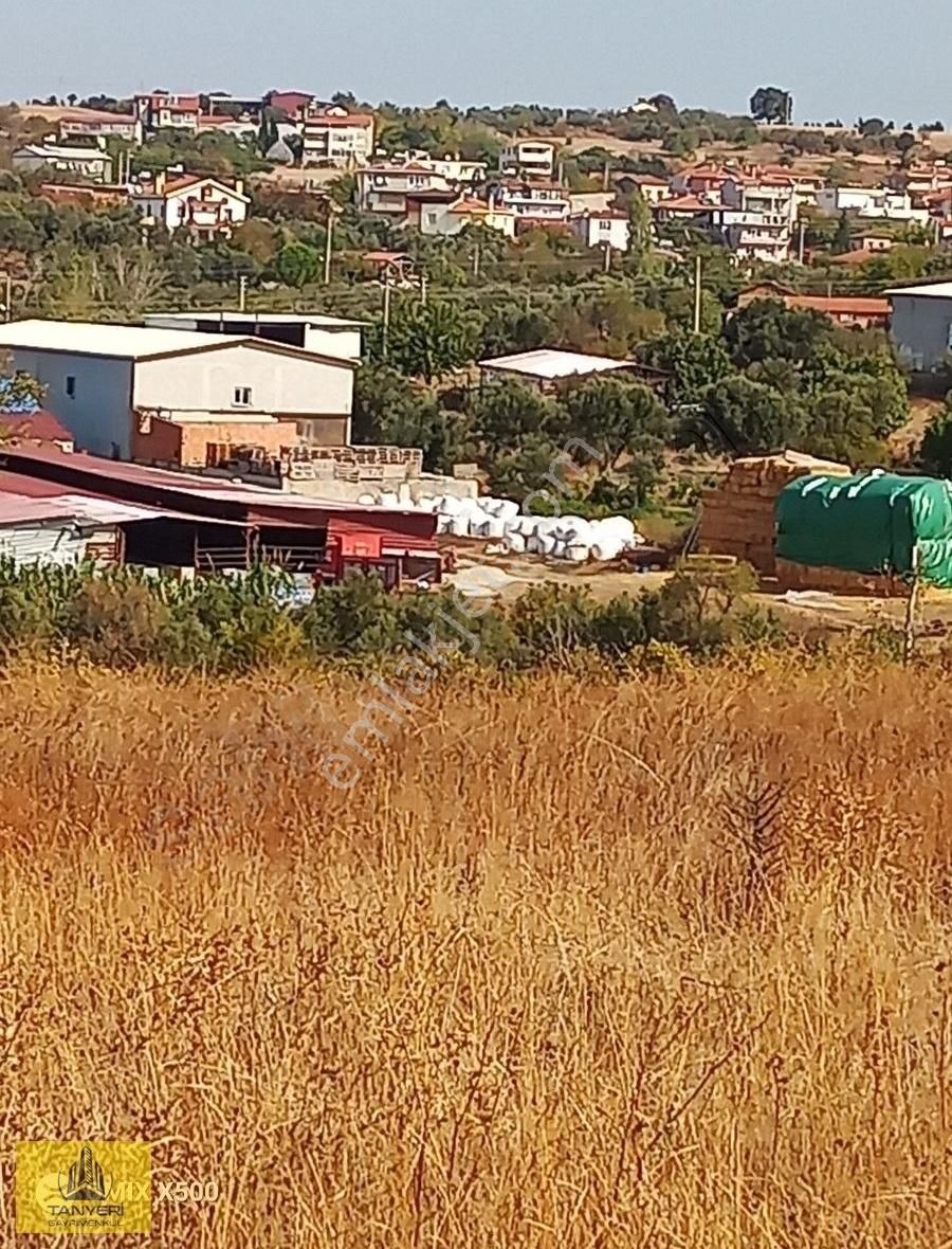 Çanakkale Merkez Karacaören Köyü Satılık Tarla ÇANAKKALE MERKEZ KARACAÖRENDE SARI BÖLGEDE SATILIK TARLA