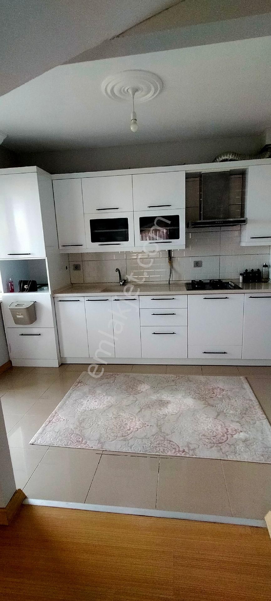 Altınordu Şirinevler Kiralık Daire kiralık Şirinevler mahallesi Ordu