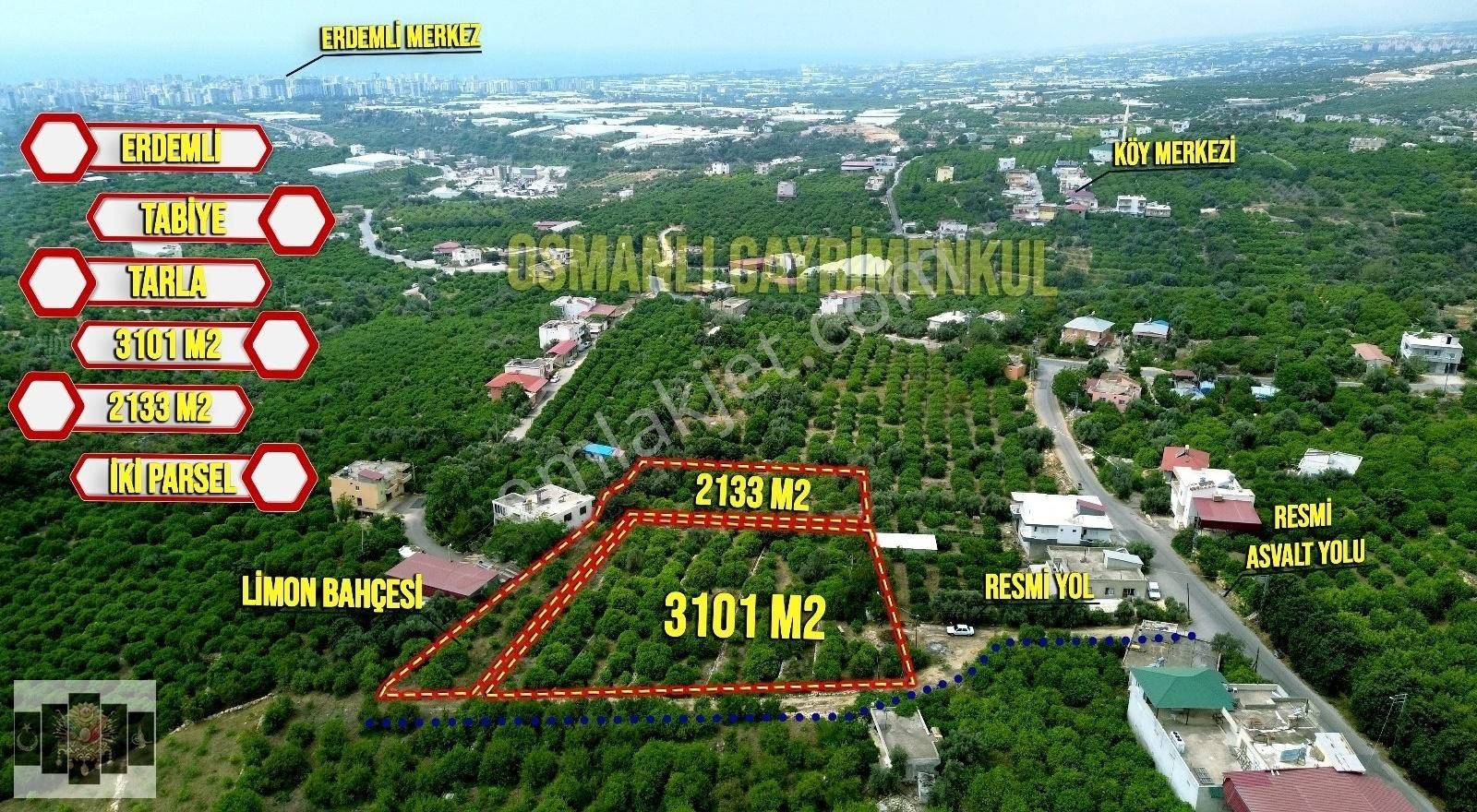 Erdemli Tabiye Satılık Bağ & Bahçe ERDEMLİ TABİYE MAHALLESİ SATILIK 5234 M2 2 PARSEL