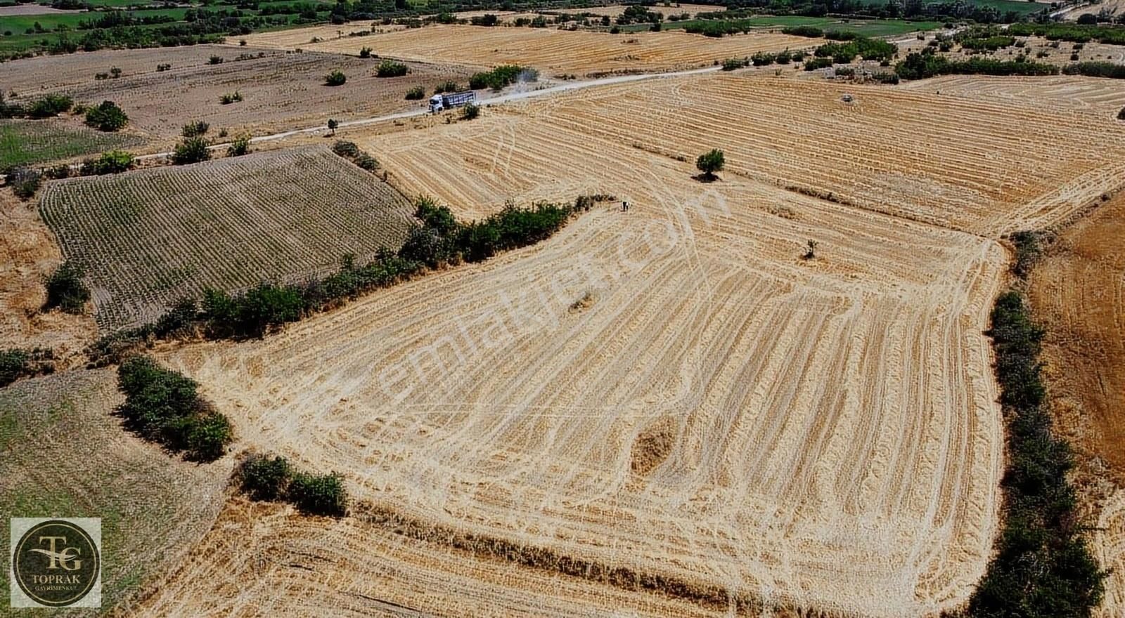 Kırklareli Merkez Üsküp Bld. (Mehmet Çavuş) Satılık Tarla Üsküp Mehmetçavuş'da Asfalt Cepheli 5.533 M2 Fırsat Arazi