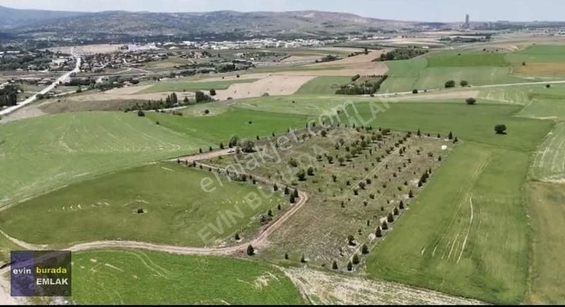 Elmadağ Yenimahalle Satılık Bağ & Bahçe EVİN BURADA'DAN SAKLI CENNET BAHÇELERİ LANSMANA ÖZEL FİYATLAR!!!