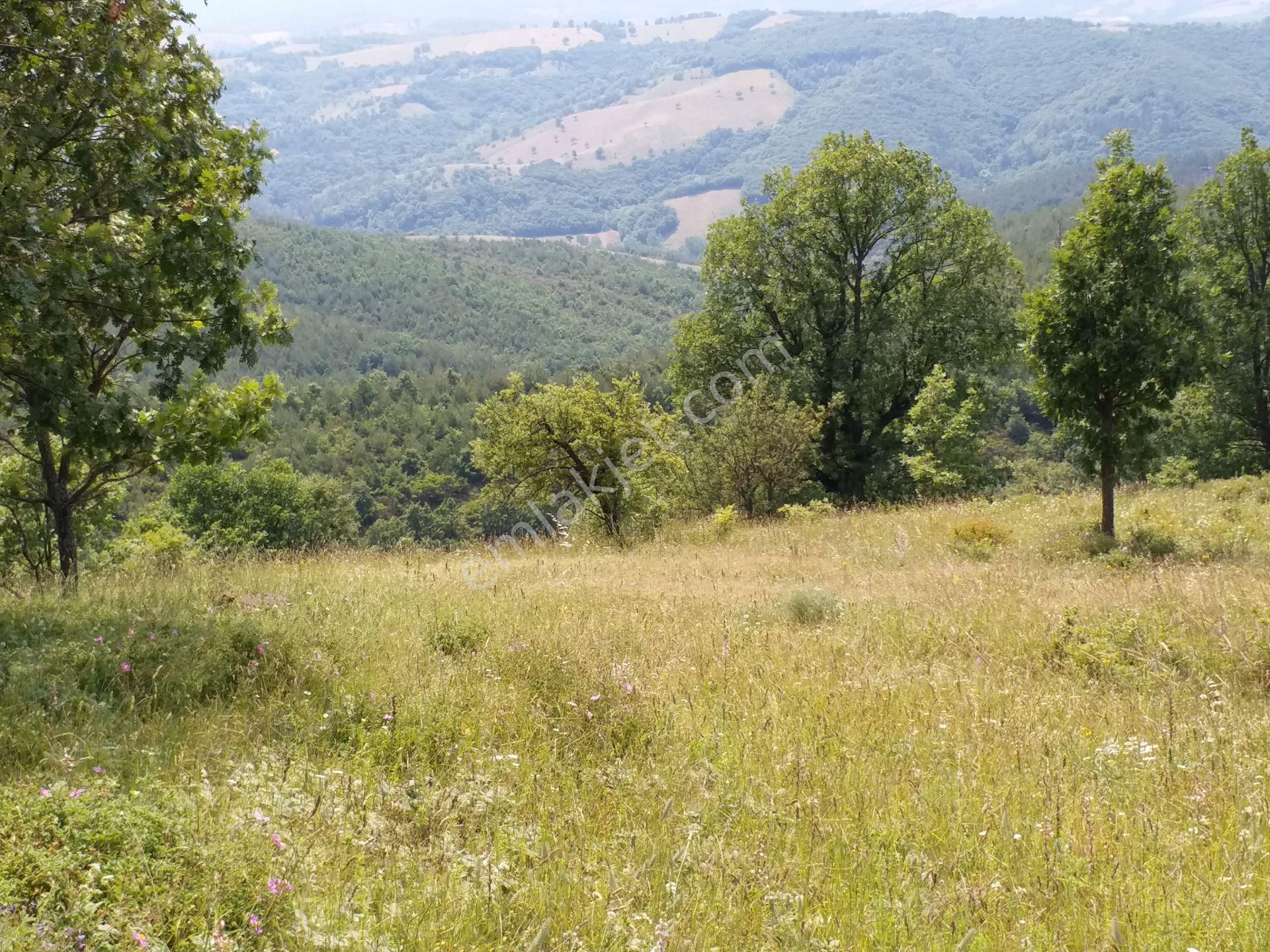 Yenice Yağdıran Köyü (Yeşiller) Satılık Tarla  Çanakkale'de Satılık 7 Dönümlü Arazi Yenice Yağdıran Mevki