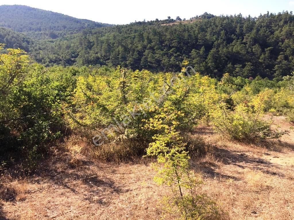 Çan Dereoba Köyü Satılık Tarla  Çanakkale'de Satılık Arazi 8.750 m2 Çan Dereoba Mevki