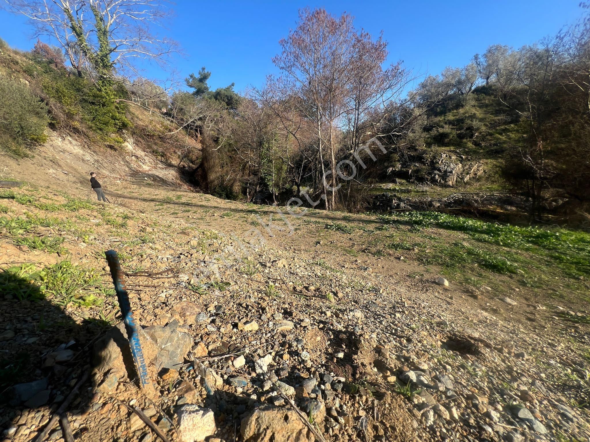 Edremit Dereli Satılık Bağ & Bahçe Edremit Dereli Köyünde Dereye Cepheli Bahçe