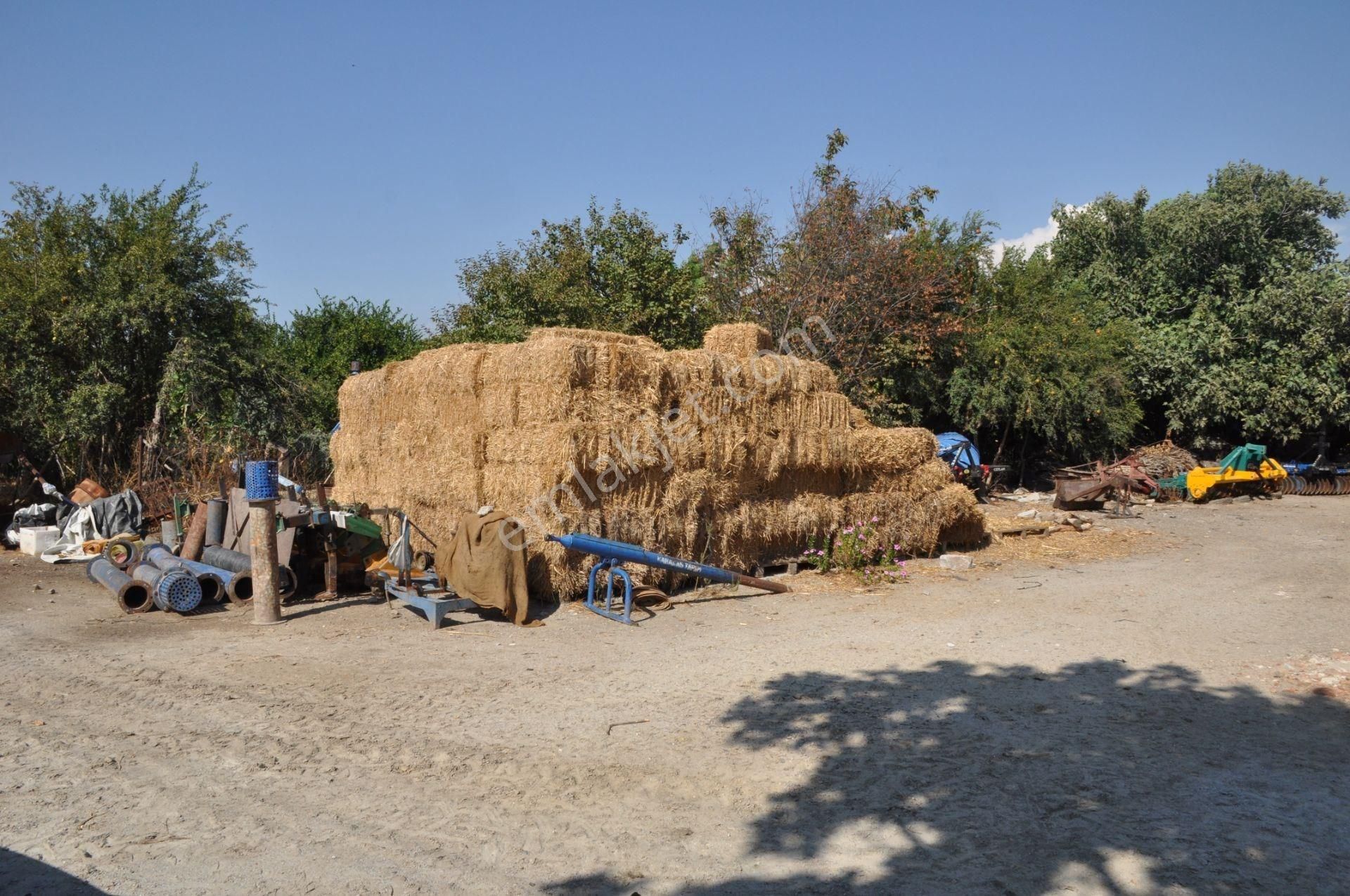 Söke Bağarası Satılık Konut İmarlı Söke Bağarasında Satılık Toplamda 542m2 Yan yana 2 Arsa (2 kat %40 imarlı)