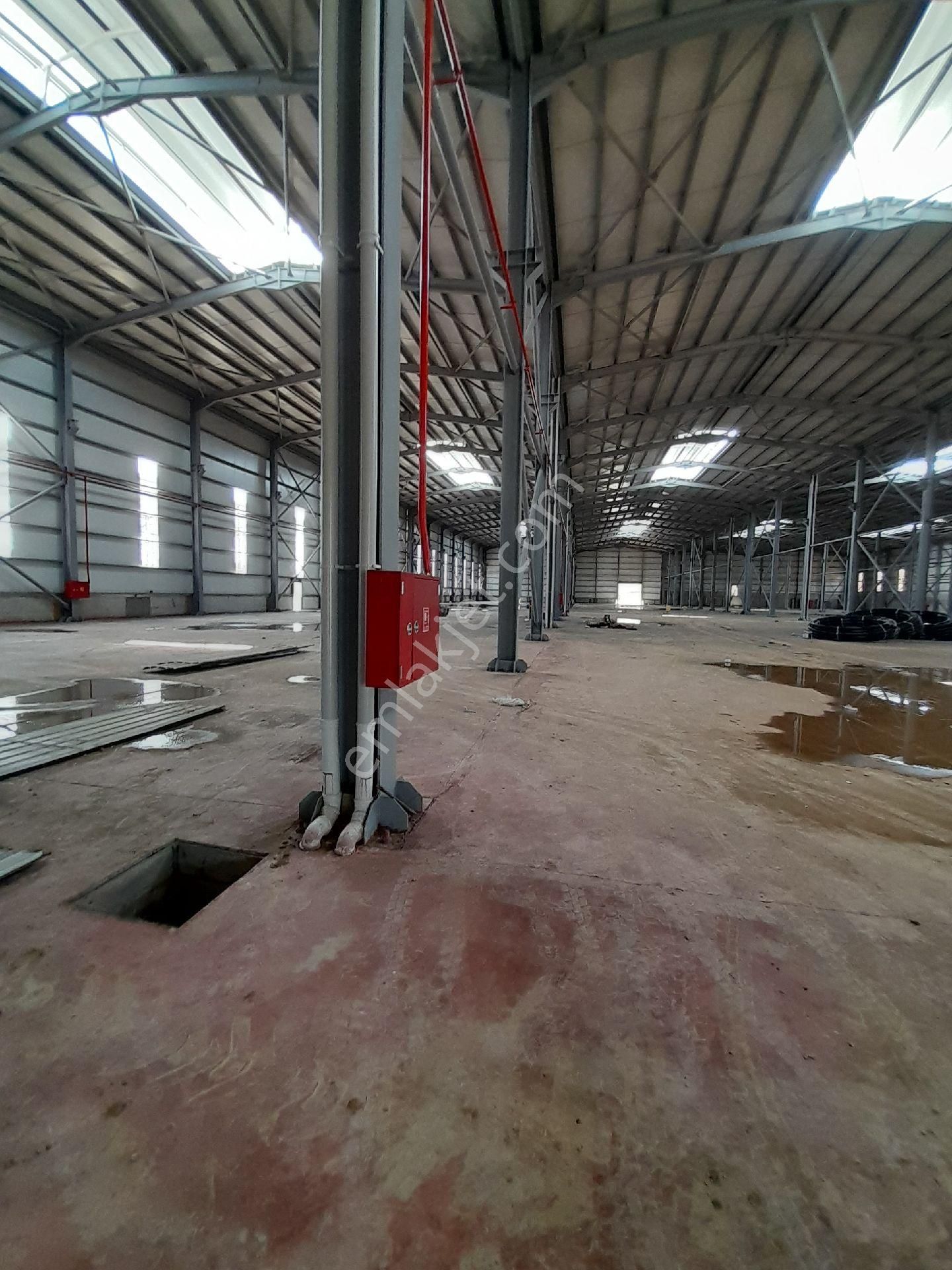 Sögütlü Osb 30.000 M² Kiralık Fabrika - Görsel 5