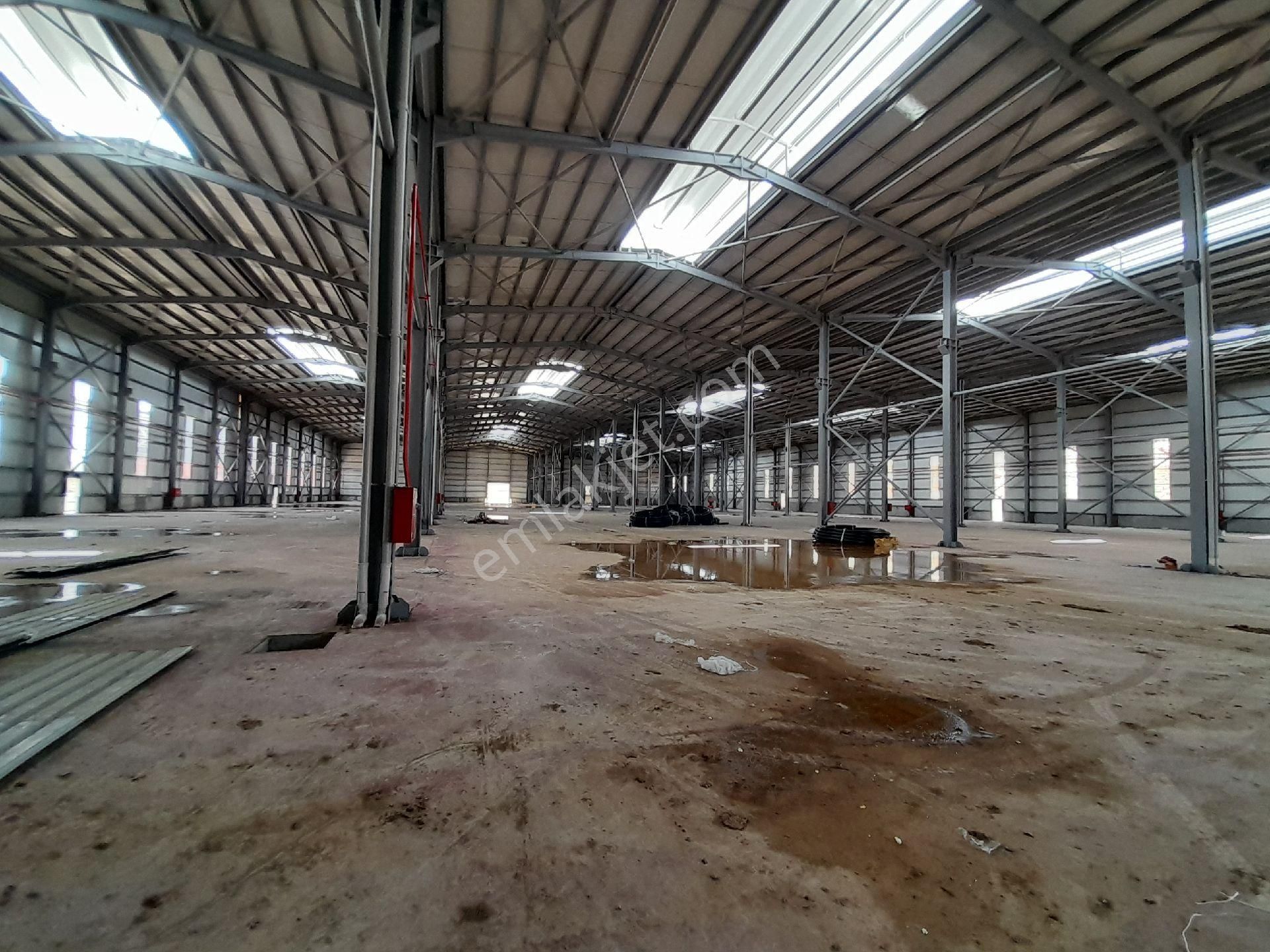 Sögütlü Osb 30.000 M² Kiralık Fabrika - Görsel 7