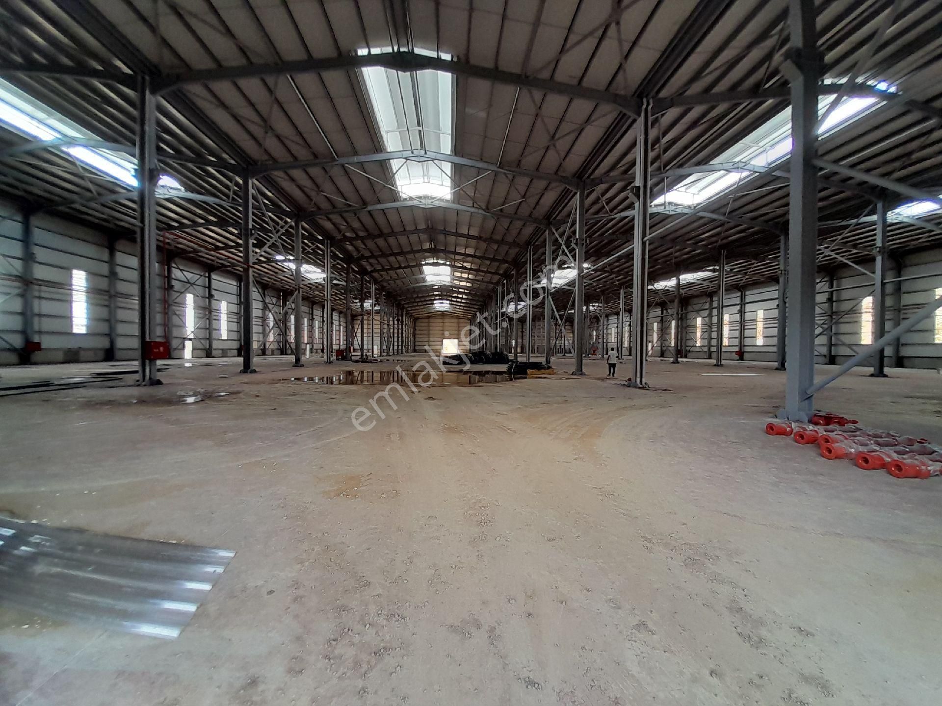 Sögütlü Osb 30.000 M² Kiralık Fabrika - Görsel 6