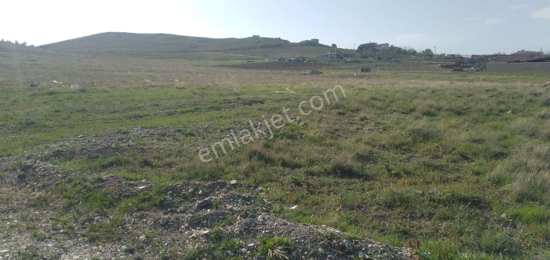 Satılık Arsalar