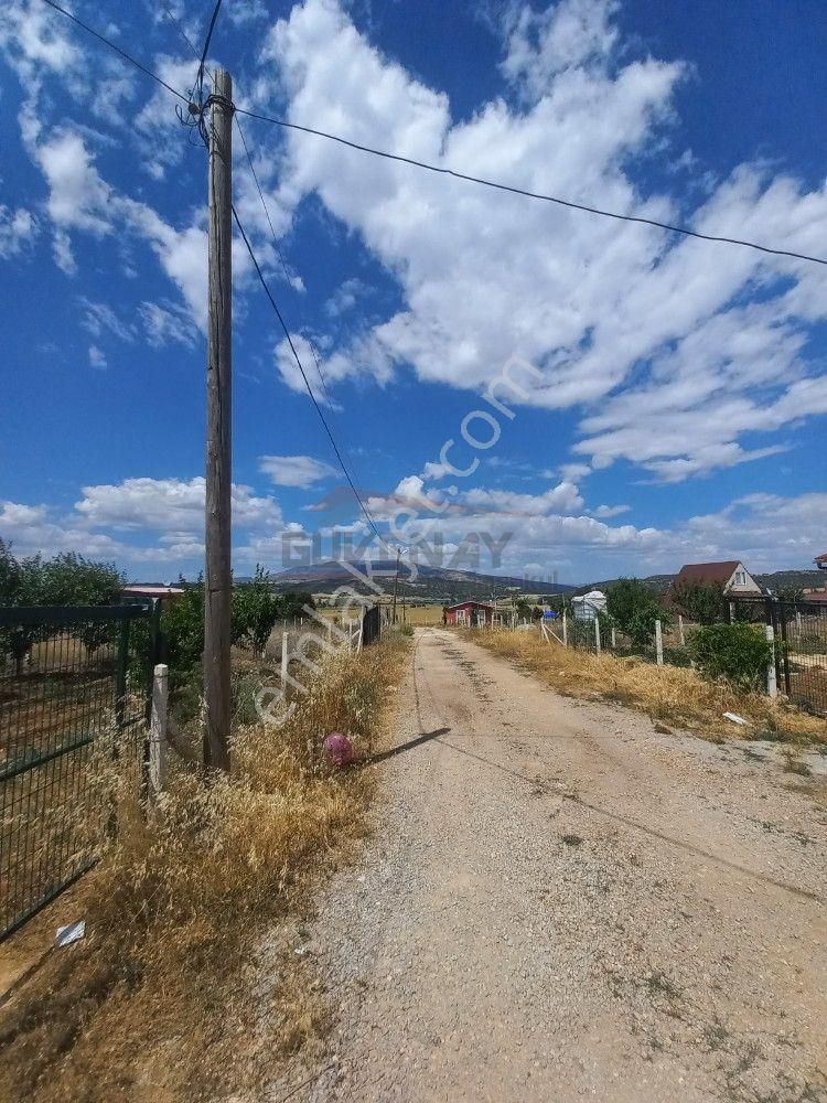 Çorum Merkez Seydim Köyü (Seyitmurat) Satılık Bağ & Bahçe Güvenay - Çorum Seydim Göleti İlerisi Satılık Bahçe