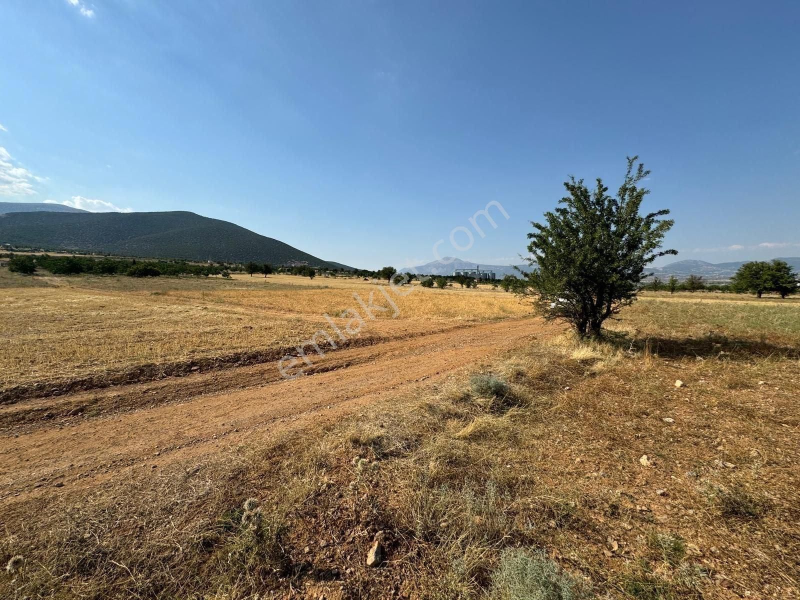 İnciryadan Acıpayam Alaattinde Antalya Yoluna 1km 3723m2 Arazi