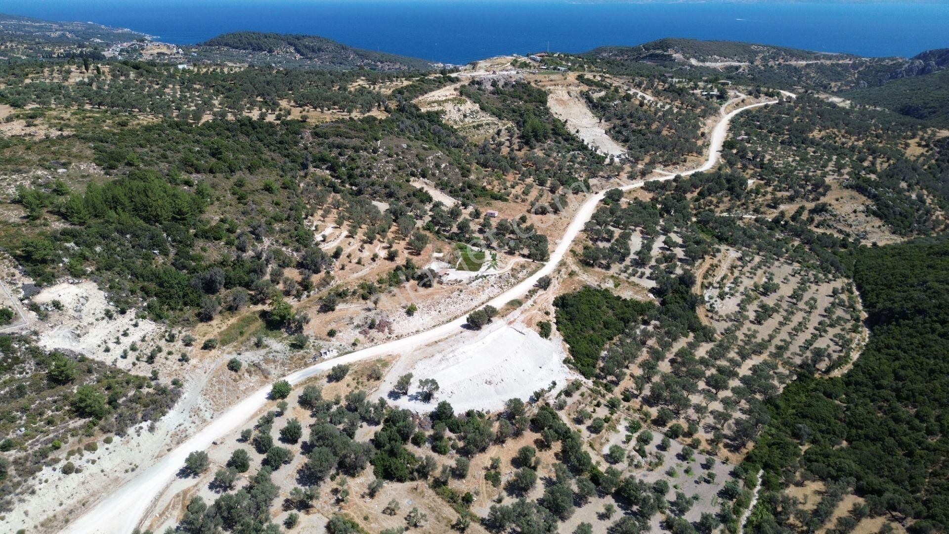 Karaburun Eğlenhoca'da 1901 M2 Yatırımlık Arazi - Görsel 17