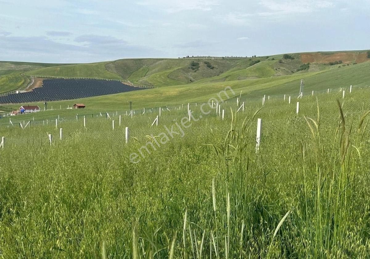 Akyurt Şeyhler Satılık Bağ & Bahçe Akyurt’da Etrafı Tel Örgü Kapısı Takılı 7/24 Elektrik Suyu Olan Bahçe