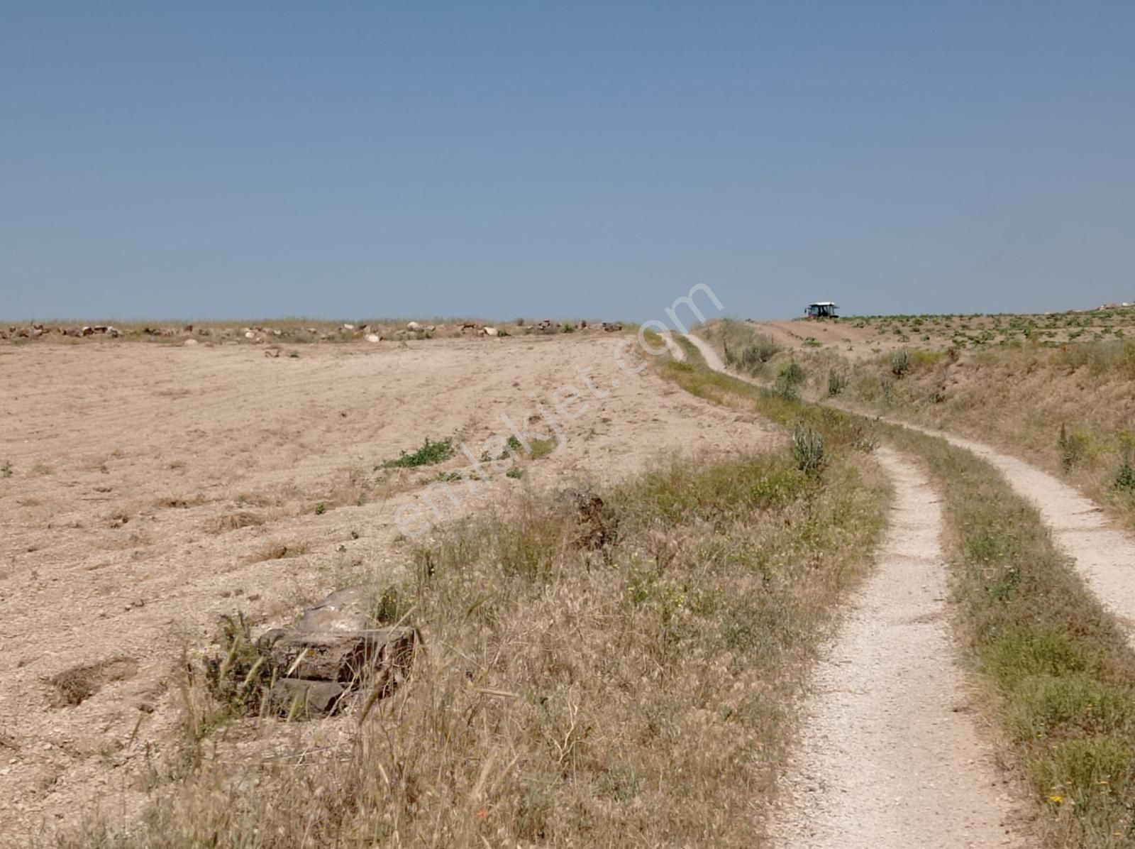 Develi Reşadiye Satılık Tarla BM