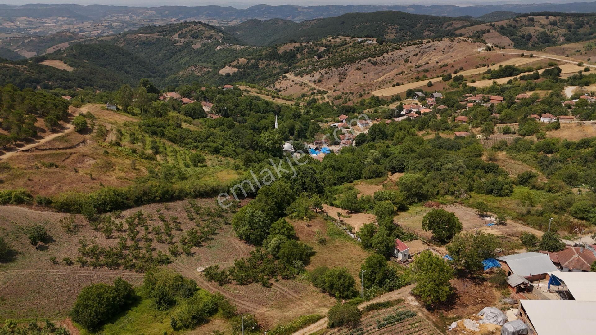 Karamürsel Fulacık Satılık Bağ & Bahçe  Karamürsel Fulacık'ta 1894 m² Satılık Bahçe