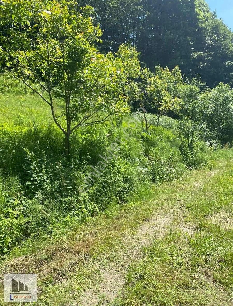 Kartepe Serinlik Satılık Tarla Kocaeli Kartepe Serinlik Mah. Doğa İçinde Köy İçi Yaşam Alanı