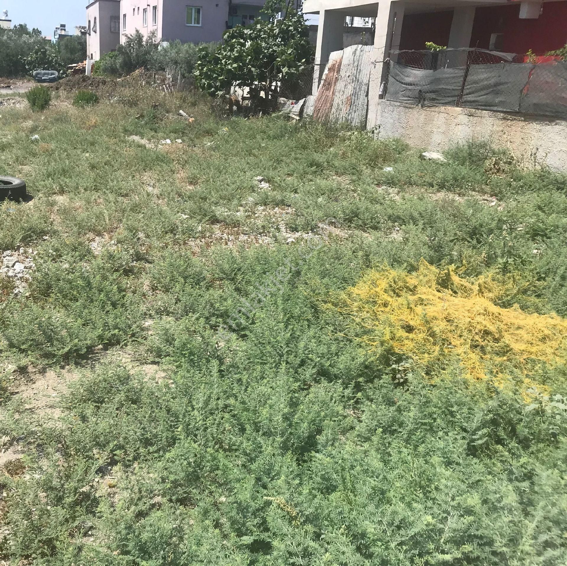 Tarsus Kemalpaşa Satılık Konut+Ticaret Alanı Mersin Tarsus Kemalpaşa Yedi Emin Yanı 309 M²satılık Arsam² Fiyatı:7.500₺fiyatı:2.325.000₺