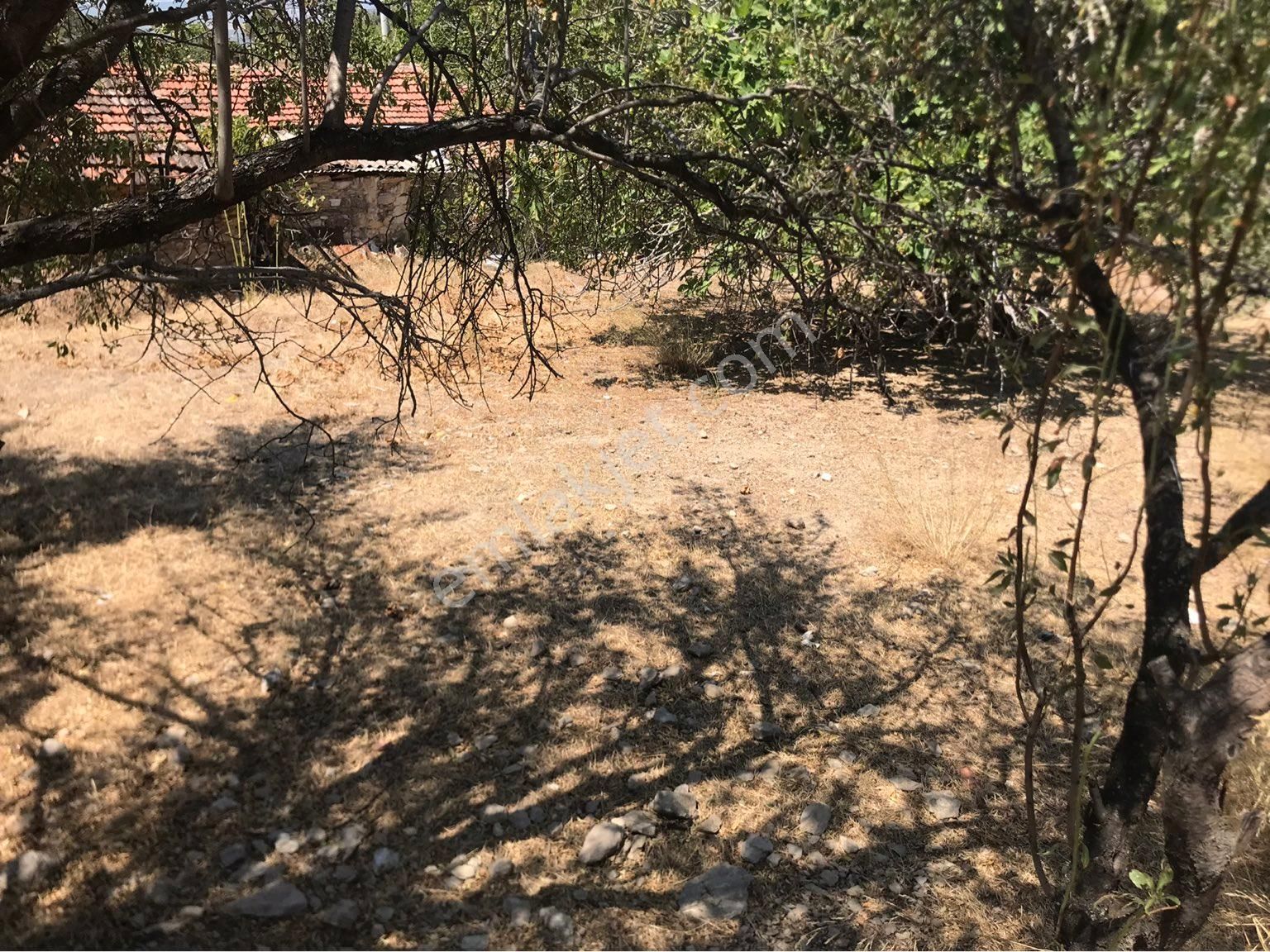 Manisa Akhisar Seğirdimde İster Bungalov İster Tıny House Koy! Satılık Arsa ! - Görsel 8