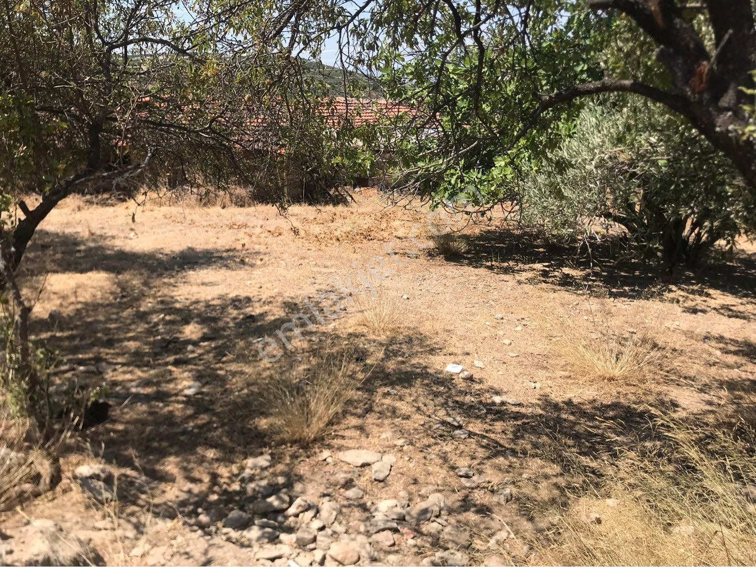 Manisa Akhisar Seğirdimde İster Bungalov İster Tıny House Koy! Satılık Arsa ! - Görsel 7