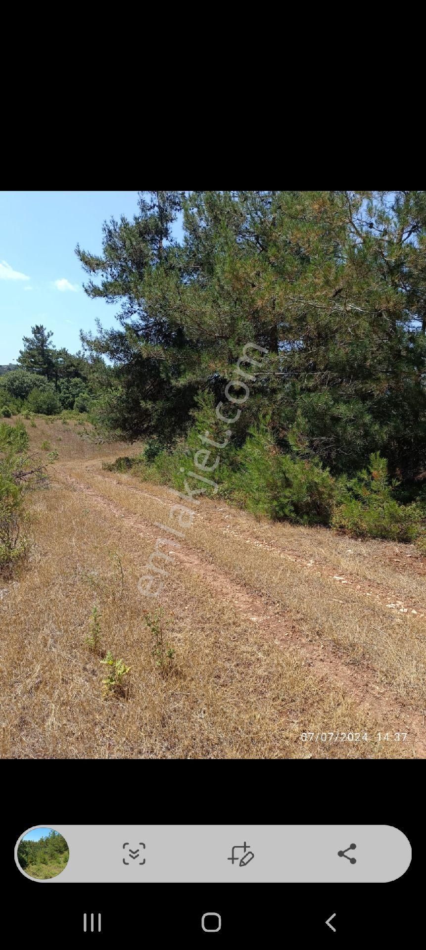 İznik Kaynarca Satılık Tarla Sahibinden Satilik İznik Kaynarcada 1600 Mt