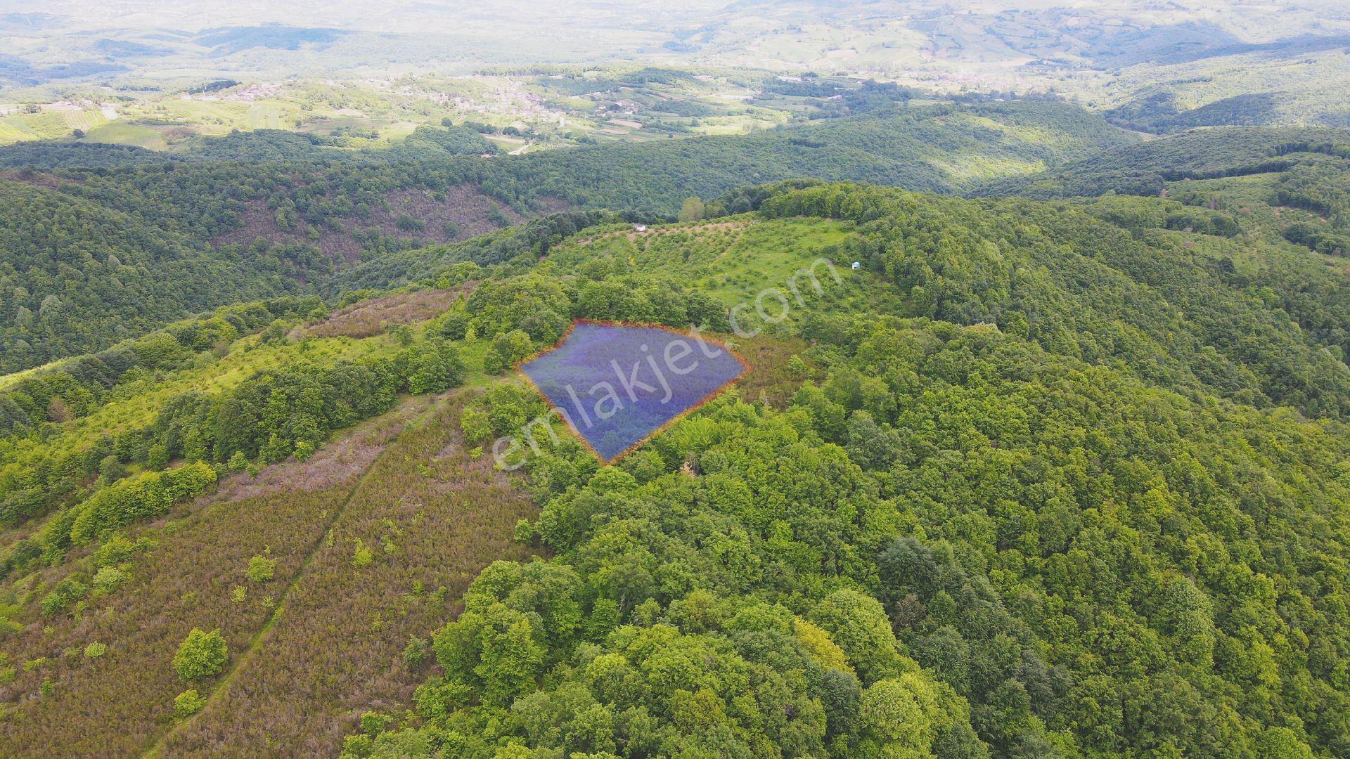 SAHİBİNDEN TAKASLI TEK/MÜSTAKİL TAPULU 2488 M2 TARLA - Görünüm 4