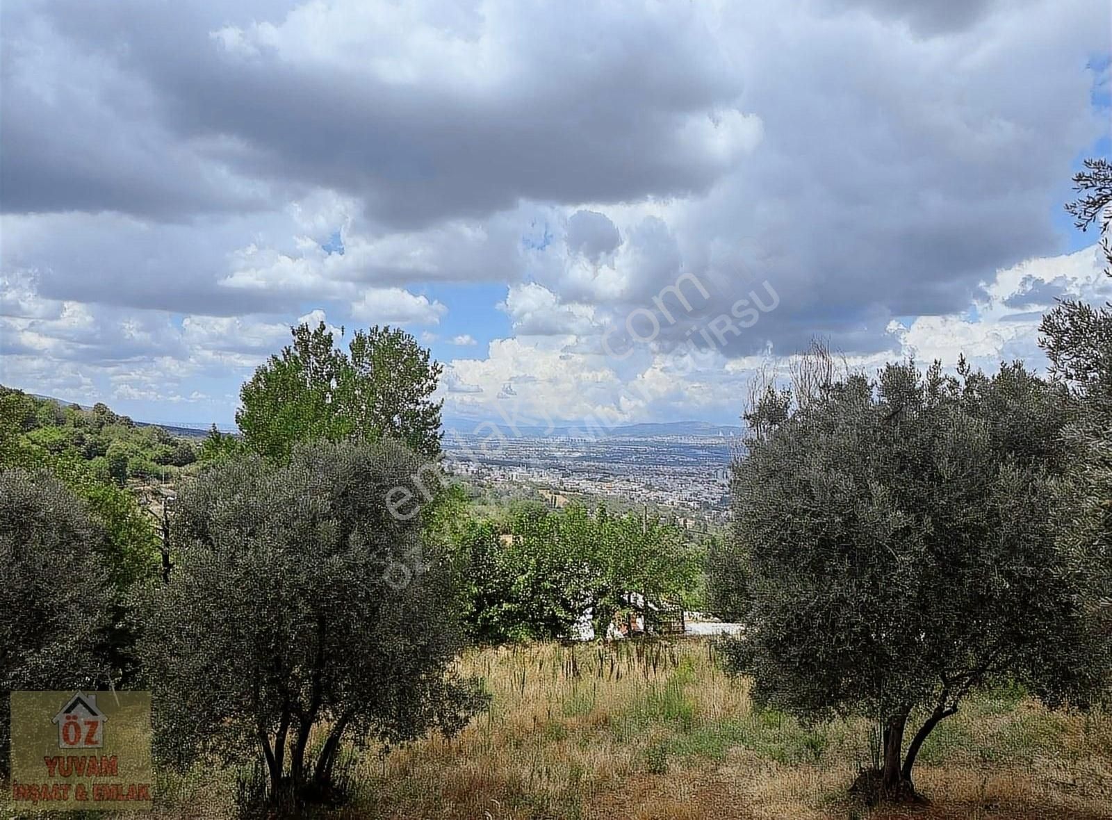 Yıldırım Hamamlıkızık Satılık Bağ & Bahçe Bursa Hamamlıkızık Köyünde Satılık 3.890m2 Bakçe....