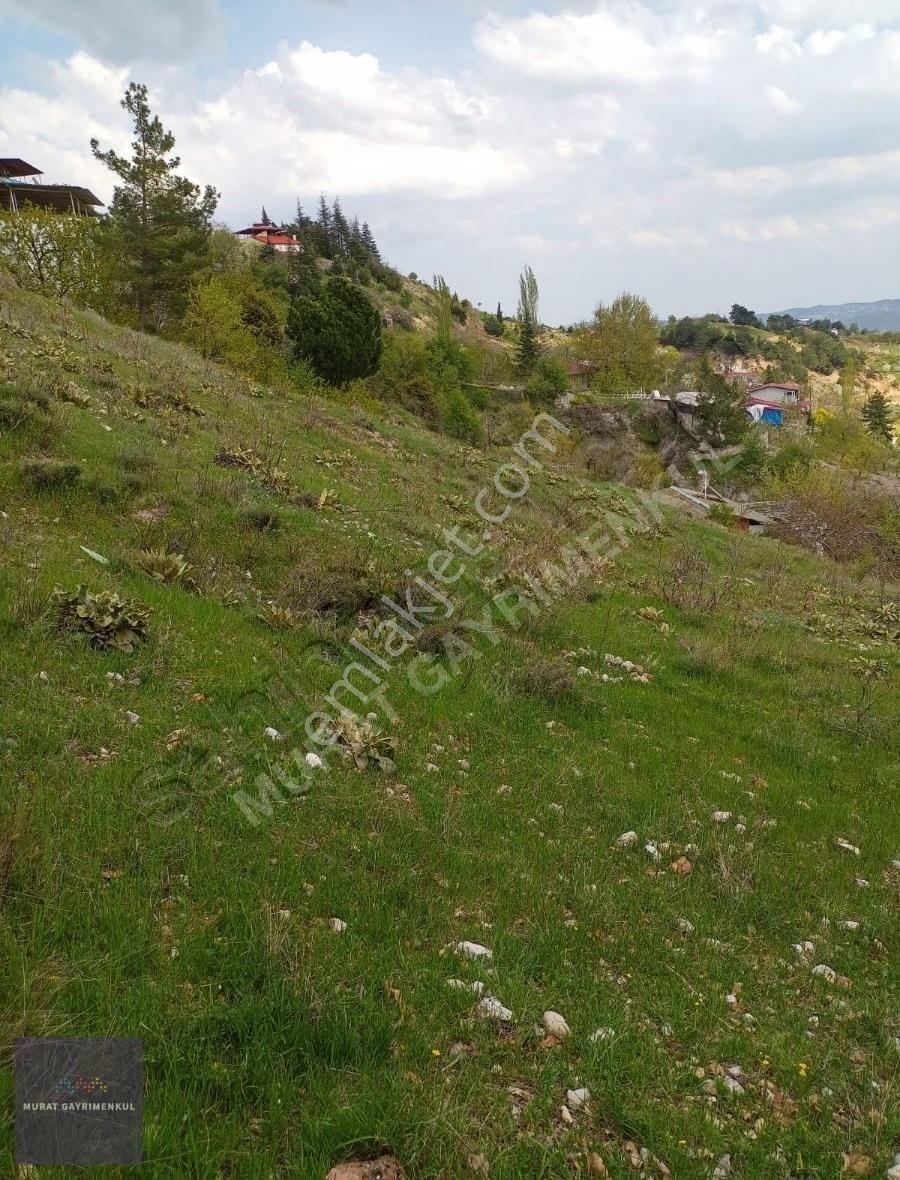 Dulkadiroğlu Kozludere Satılık Bağ & Bahçe Murat Gayrimenkulde Kozludere Köyün De 3006m2 Yol Kenarı