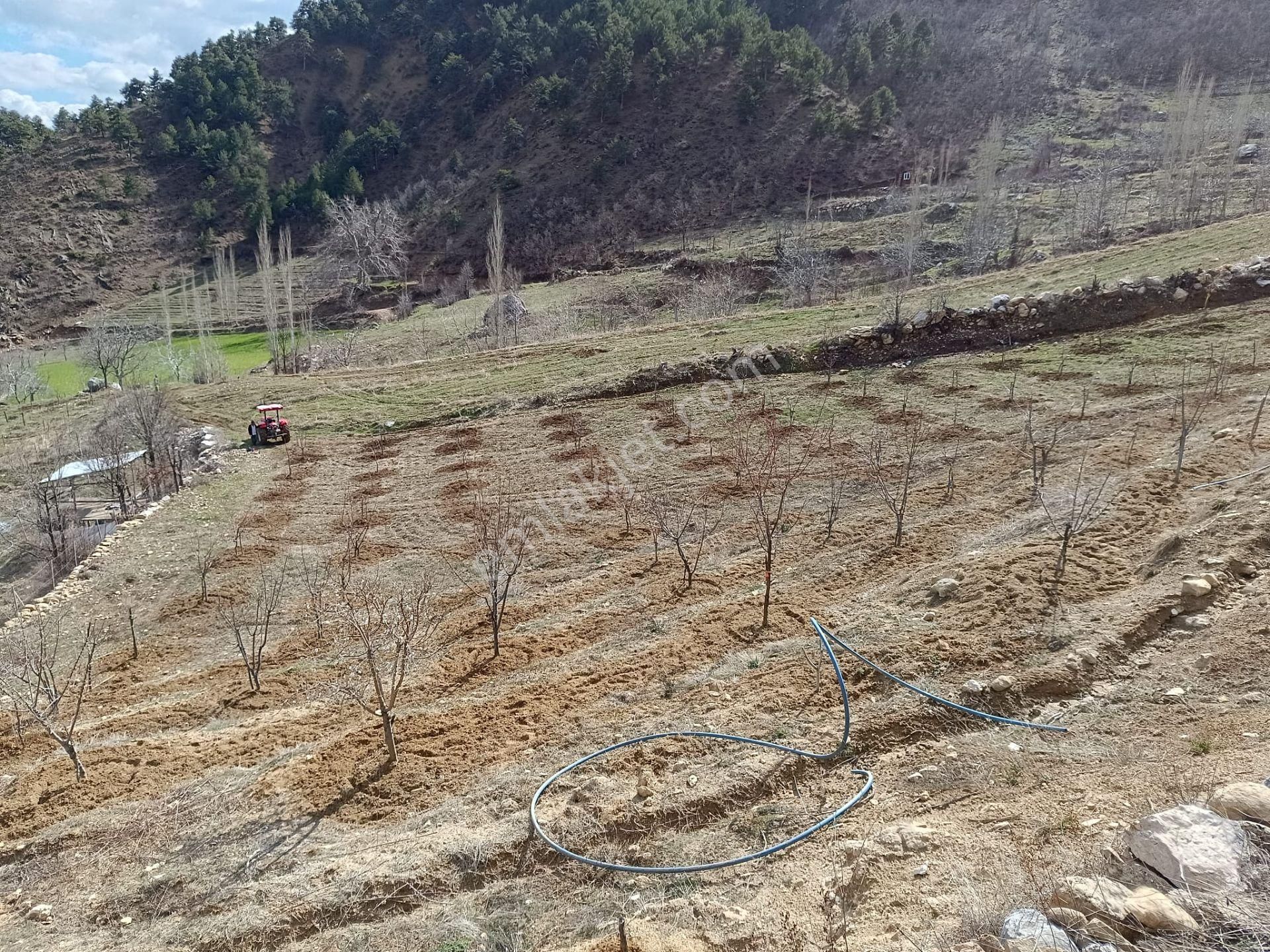 Onikişubat Tekir Satılık Bağ & Bahçe Satılık Bakçe