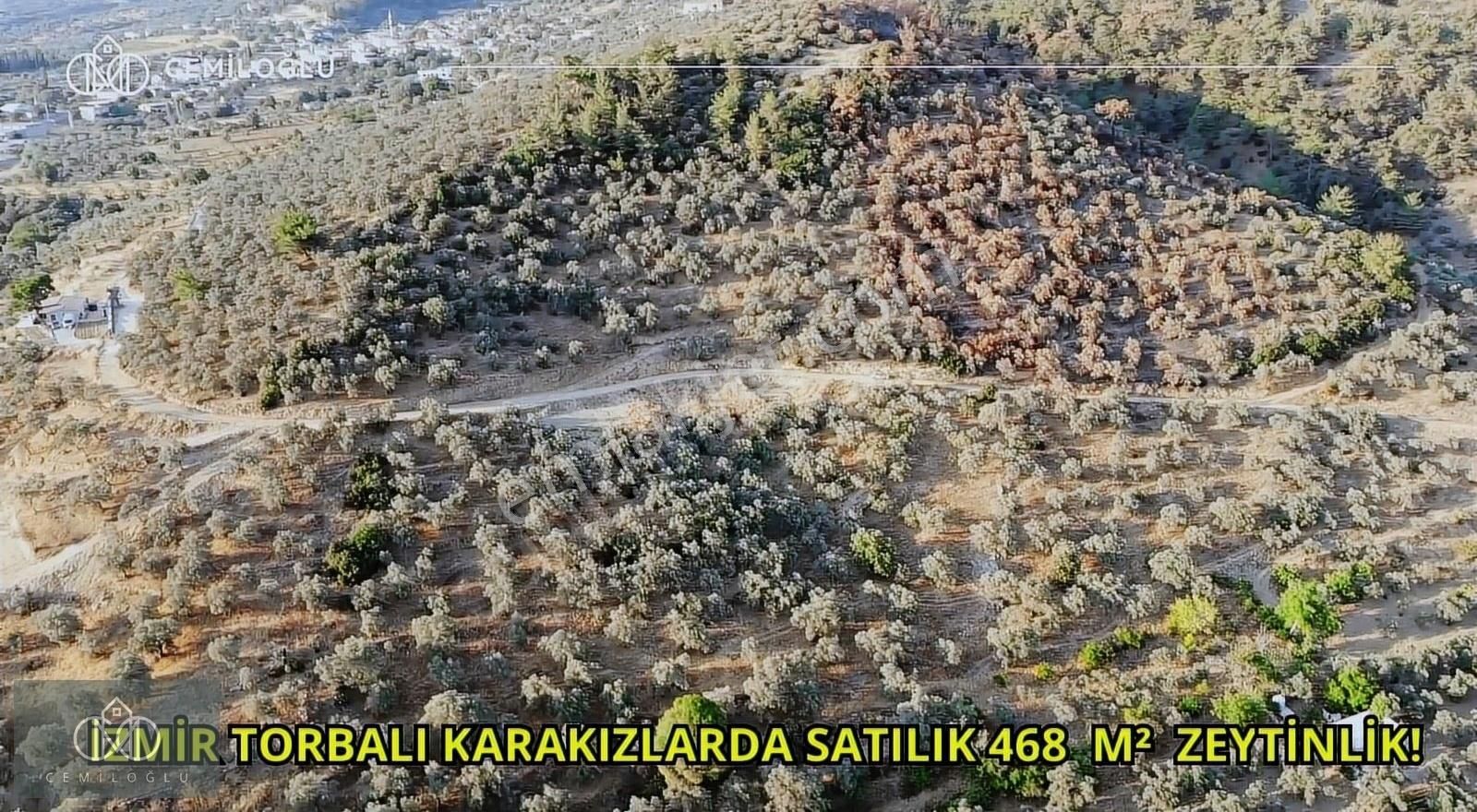 Torbalı Karakızlar Satılık Zeytinlik İZMİR TORBALI KARAKIZLAR MAHALLESİNDE SATILIK ZEYTİNLİK