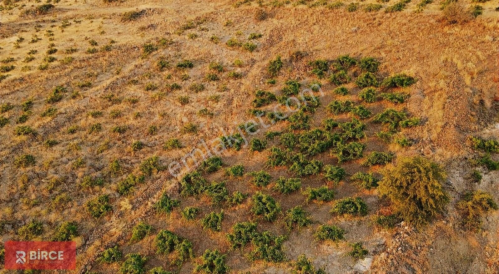 Ürgüp Ulaşlı Köyü Satılık Turizm İmarlı ULAŞLI KÖYÜNDE YATIRIMLARIN GÖZDESİ 3943 M2 KUPON BAĞ