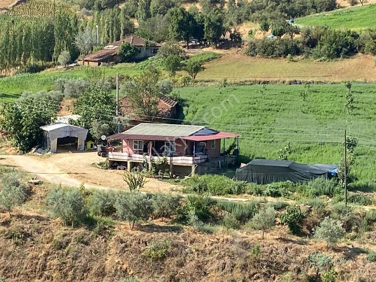 Kiraz Karabağ Satılık Bağ & Bahçe İzmir Kiraz Karabağ' Da Satılık Bahçe