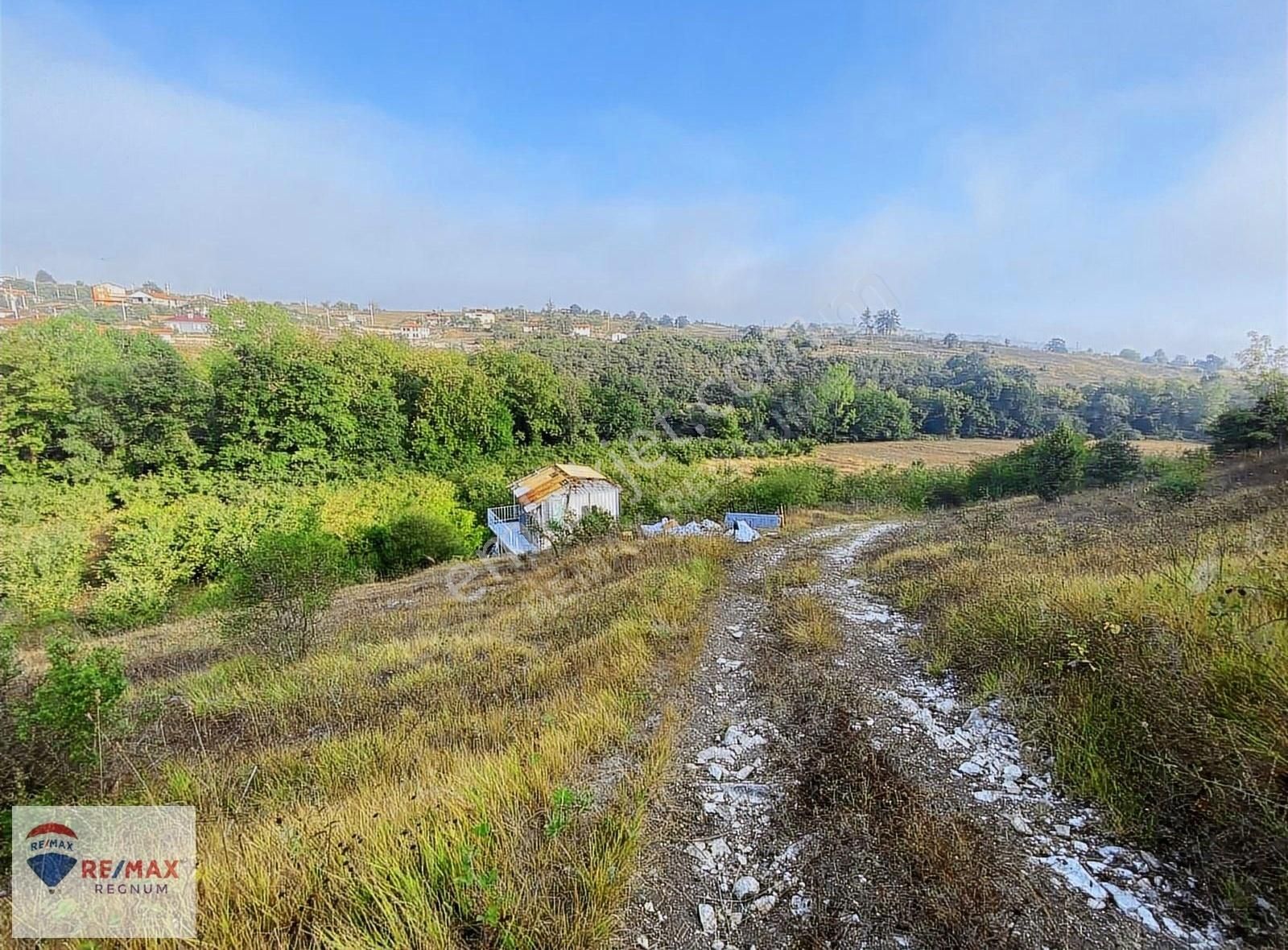 Kandıra Çalca Satılık Tarla ÇALCA'DA %35 KONUT İMARINDA YAPI KAYIT BELGELİ KONTEYNERLI ARSA