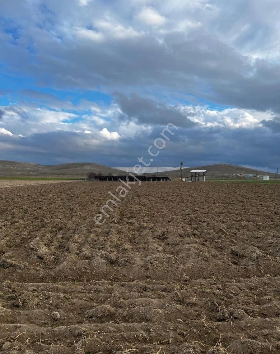 Karaman Merkez Çoğlu Köyü Satılık Tarla MRM EMLAKTAN ÇOĞLU KÖYÜNDE 60 DÖNÜM ANA YOLA SIFIR SATILIK TARLA