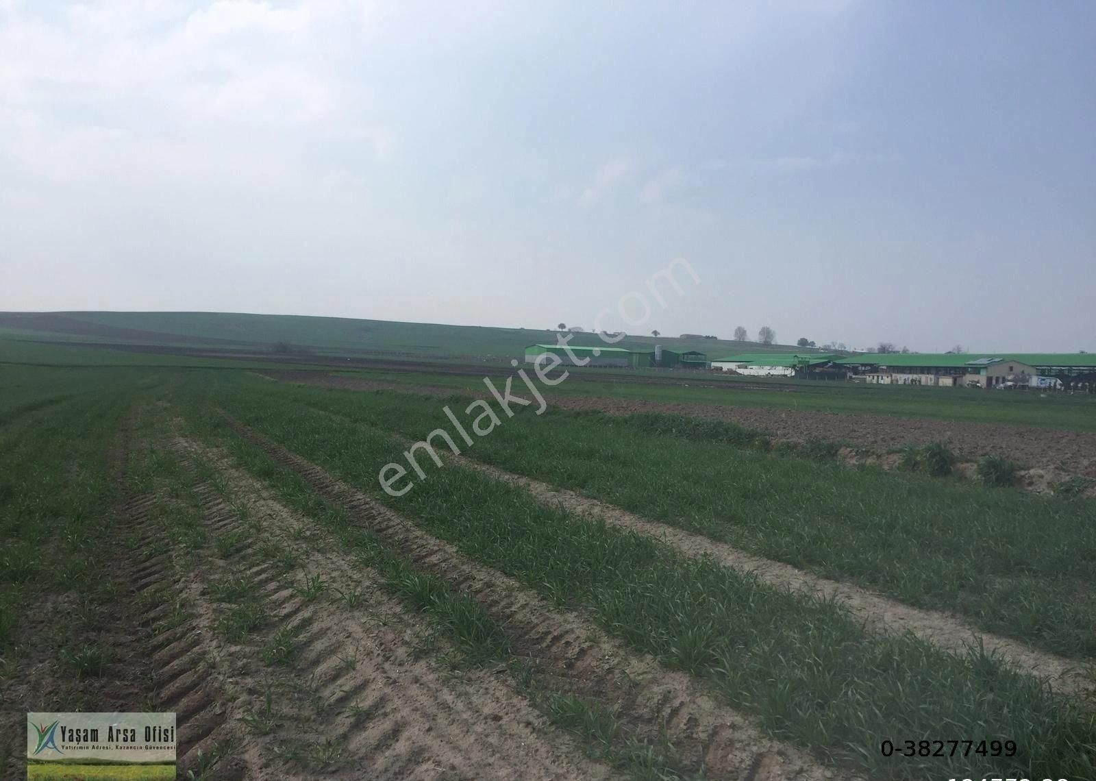 Kırklareli Babeski Yeniköy Yatırımlık Parseller