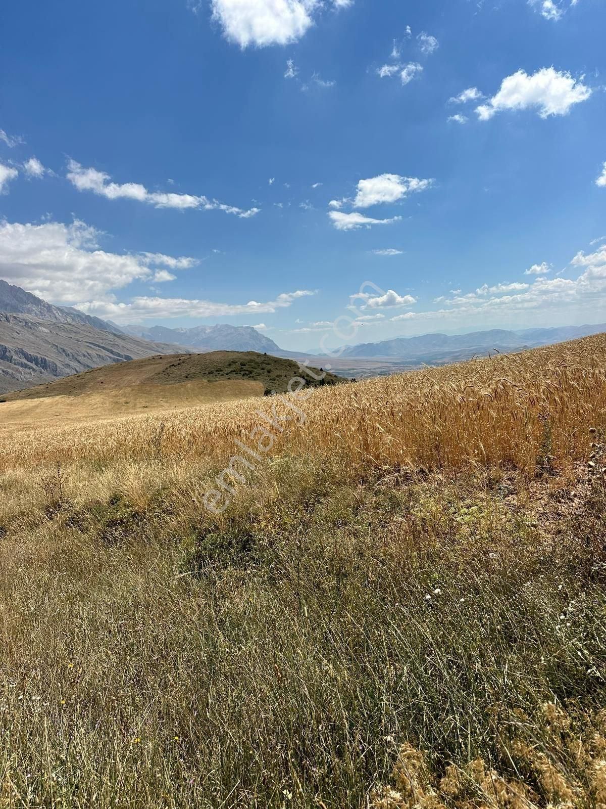 Çamardı Bademdere Köyü (Bahçeli) Satılık Tarla Satılık 47.600m² Tarla- Bademdere, Çamardı, Niğde