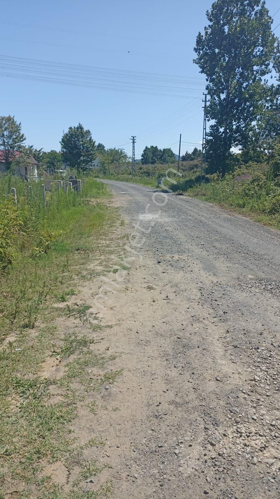 Terme Akçay Satılık Tarla Samsun Yerme Akcayda Ana Yola Yakin Satikik Ev Yapmaya Uykun Satilik Findik Bahcesi