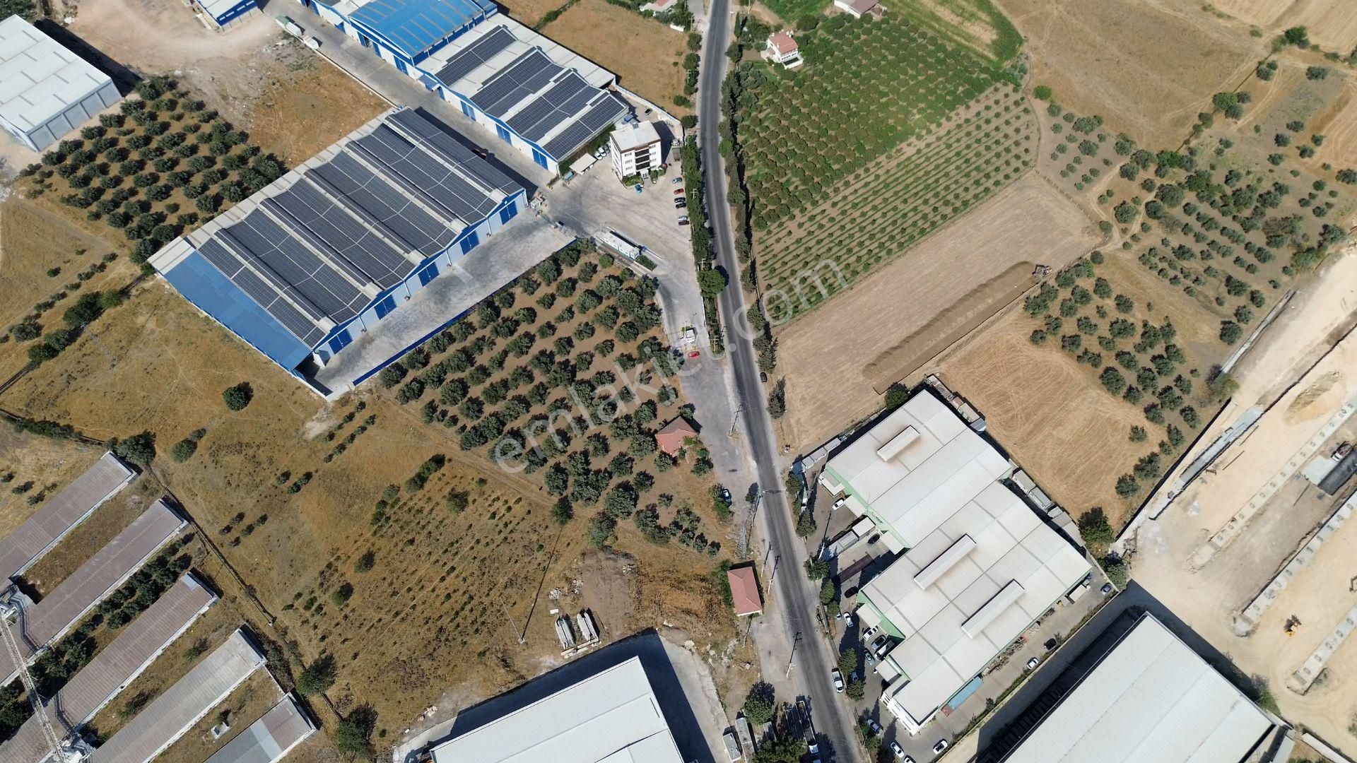 Menemen Novada Arkası Satılık Arsa - Görsel 12