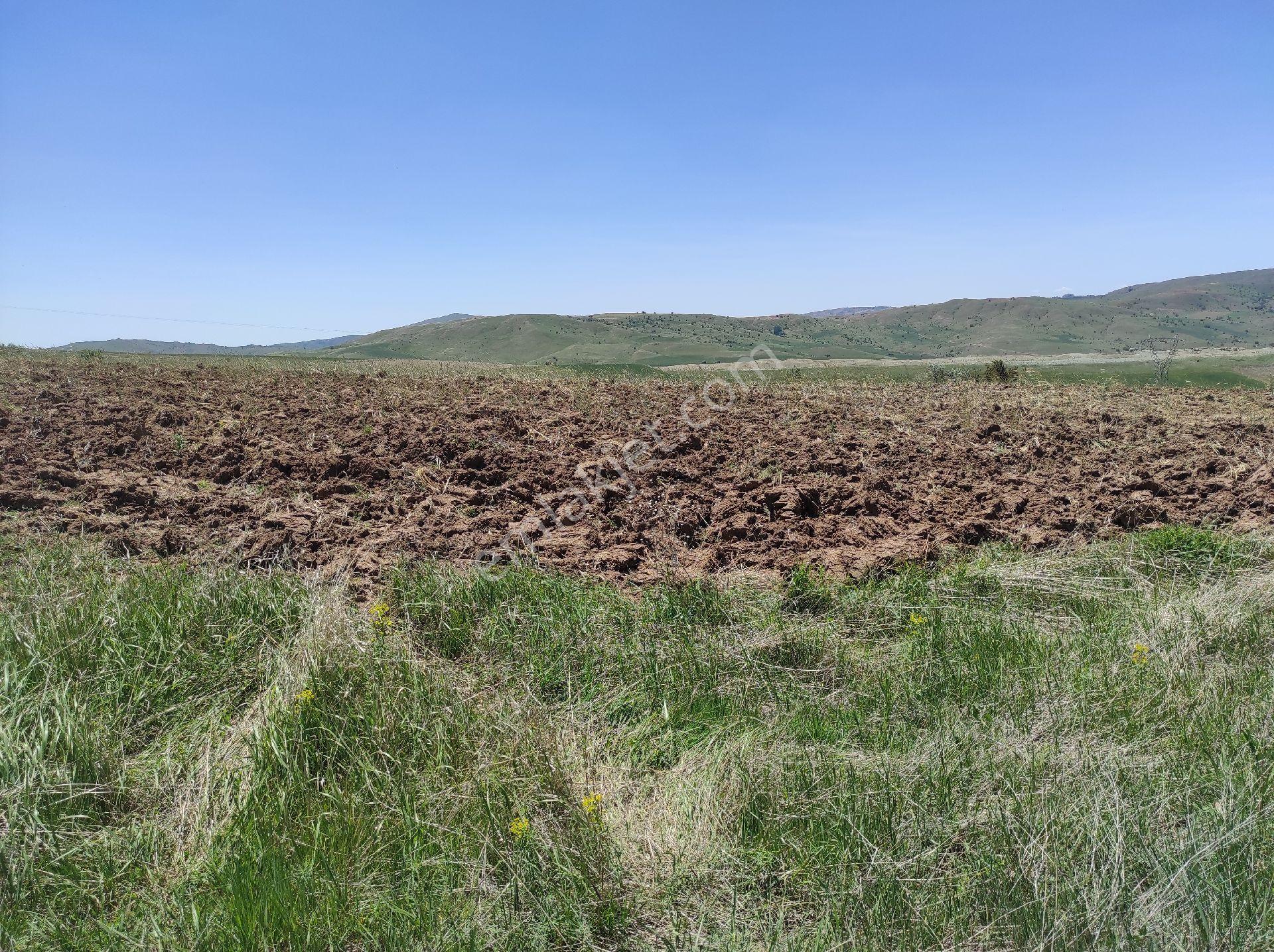 Bingol Koyu 10360 Metre Kare Tarla - Görsel 10