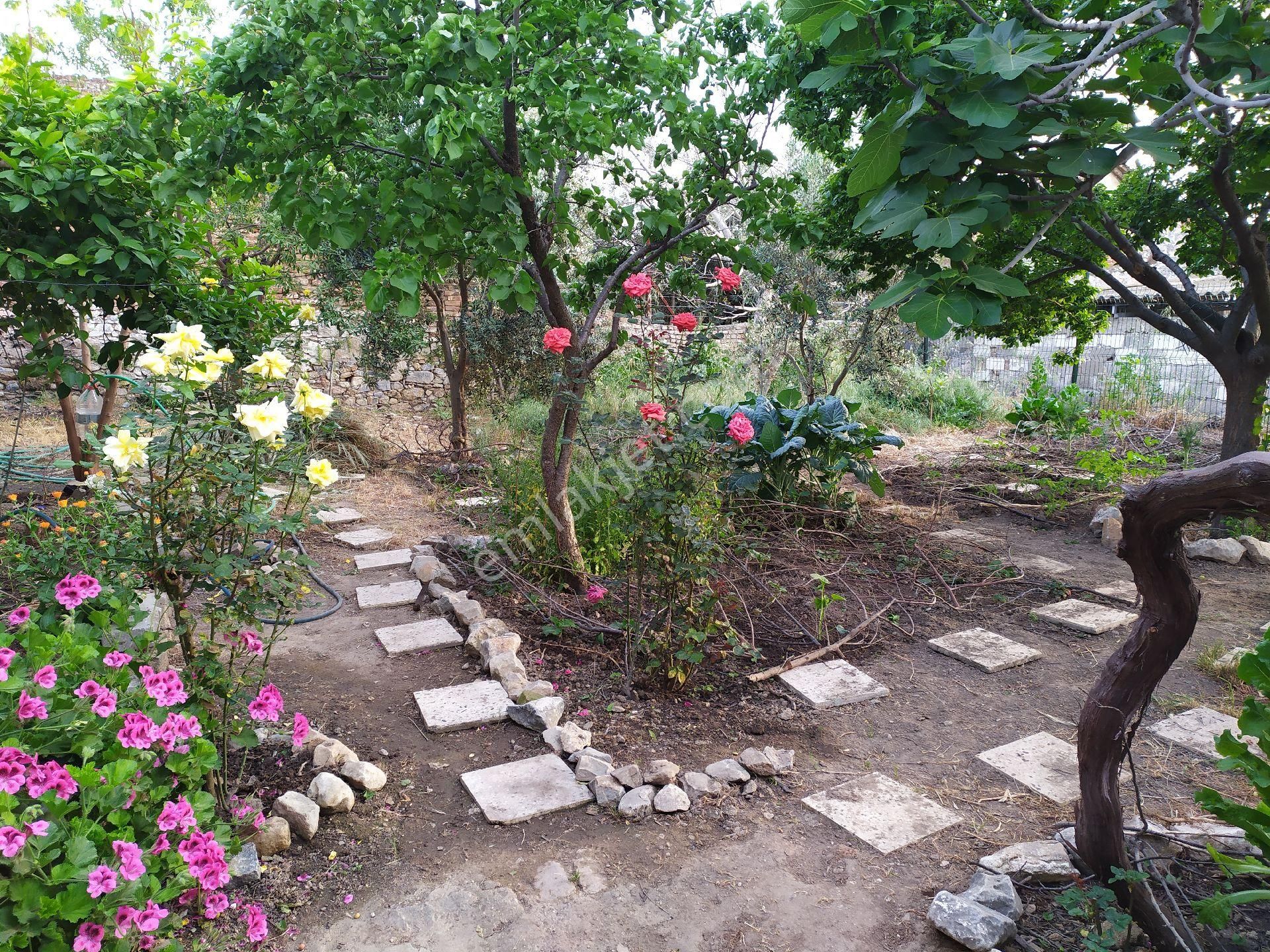 Söke Sarıkemer Satılık Müstakil Ev GÜNEY EGE'DE MASRAFSIZ EŞYALI MÜSTAKİL YAZLIK EV 