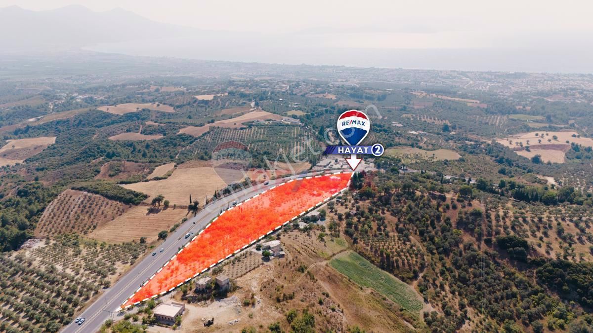 Kuşadası Soğucak Satılık Tarla REMAX'tan Kuşadası Söke Yolunda 17 Dönüm Cevizlik