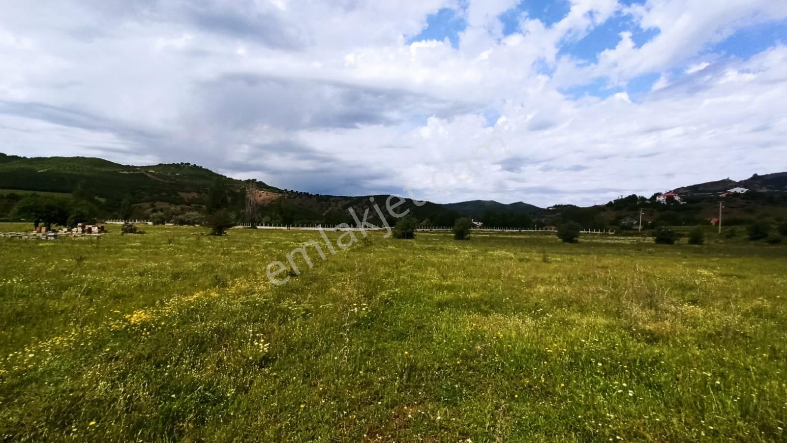 Tunceli Merkez İsmet İnönü Satılık Bağ & Bahçe TUNCELİ MERKEZ İSMET İNÖNÜ MAHALLESİ YOLUN ALTINDA TARIMSAL ARAZİ